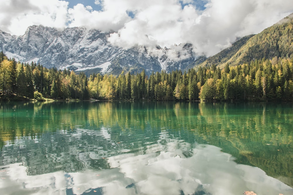 green trees near lake and mountain under white clouds during daytime