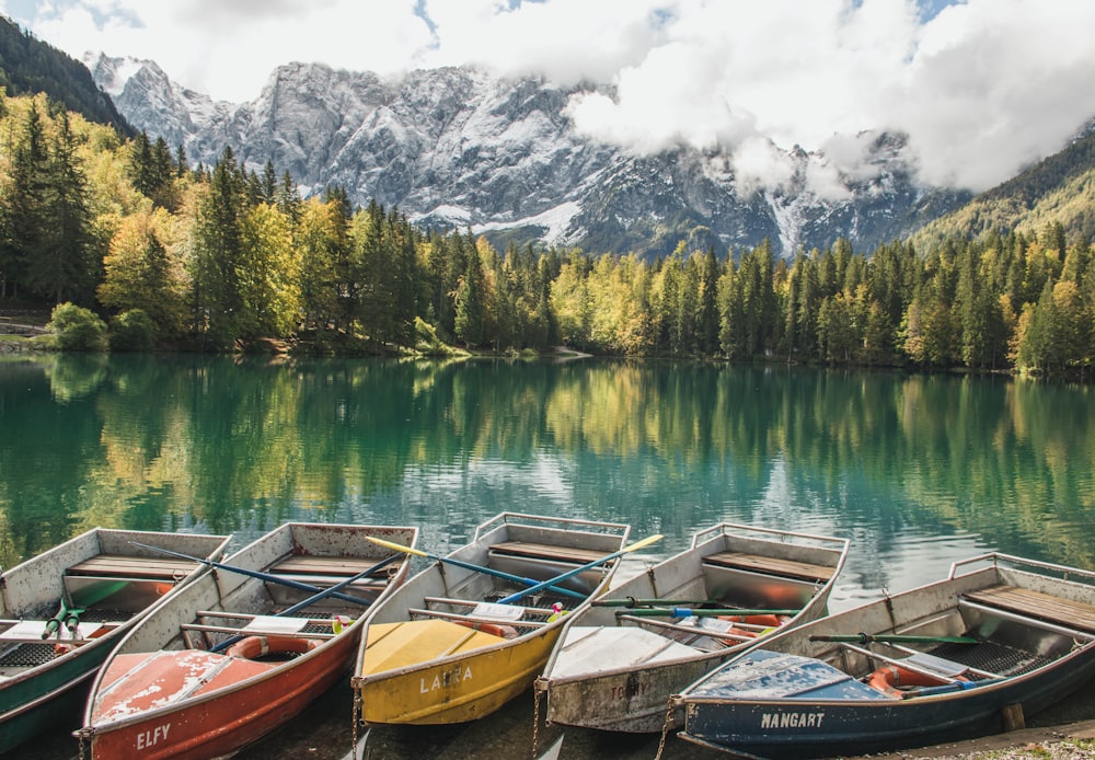 brown and white boat on lake near green trees and mountain during daytime