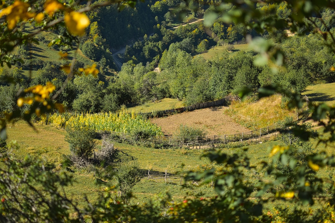 Natural landscape photo spot Lesnica Trpejca