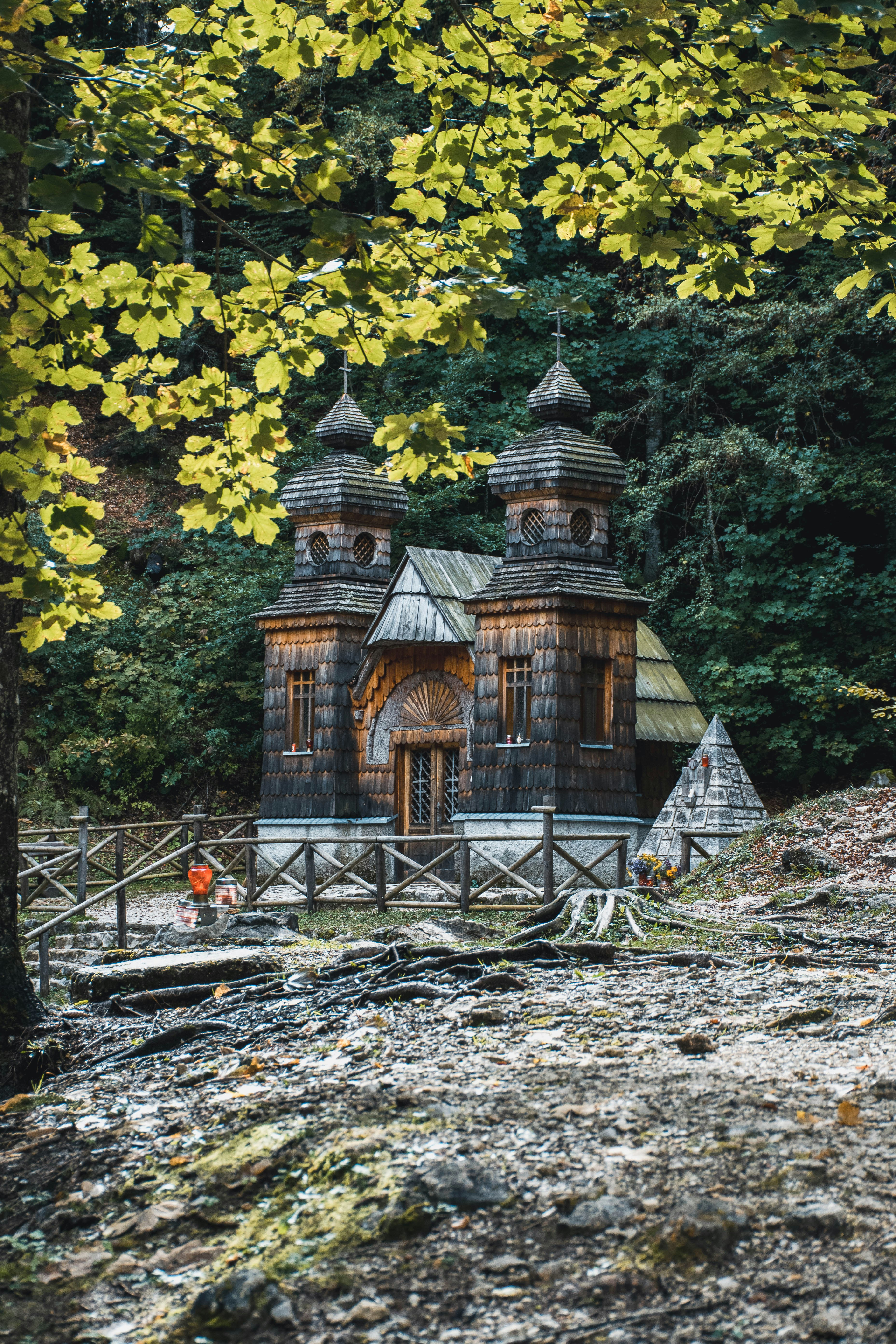 Photo by zanjanzekovic