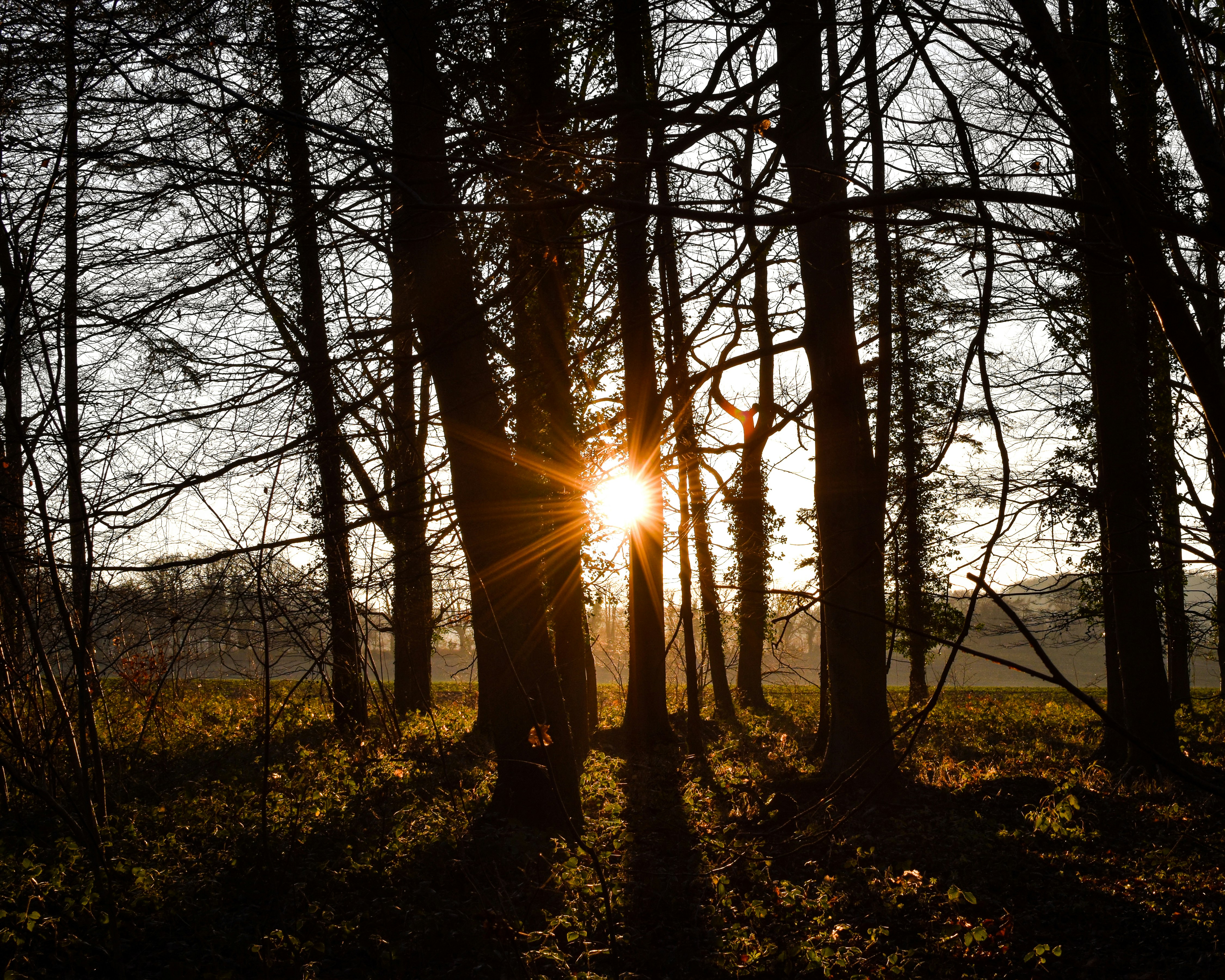 Photo by jprgraphics