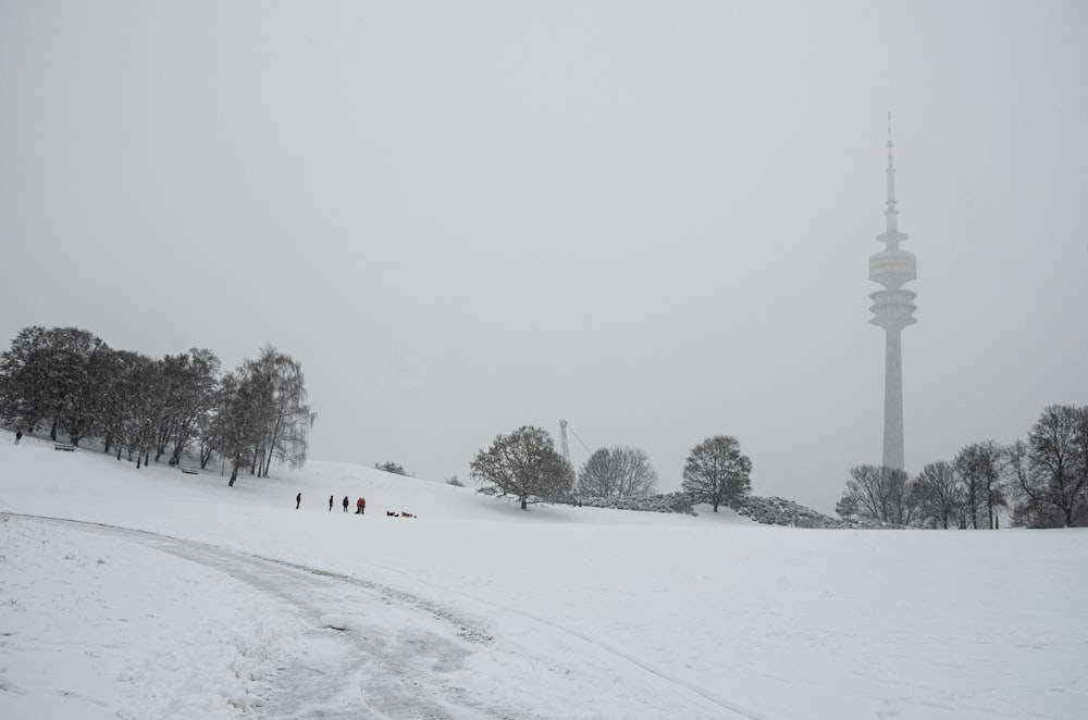 green trees on snow covered ground during daytime