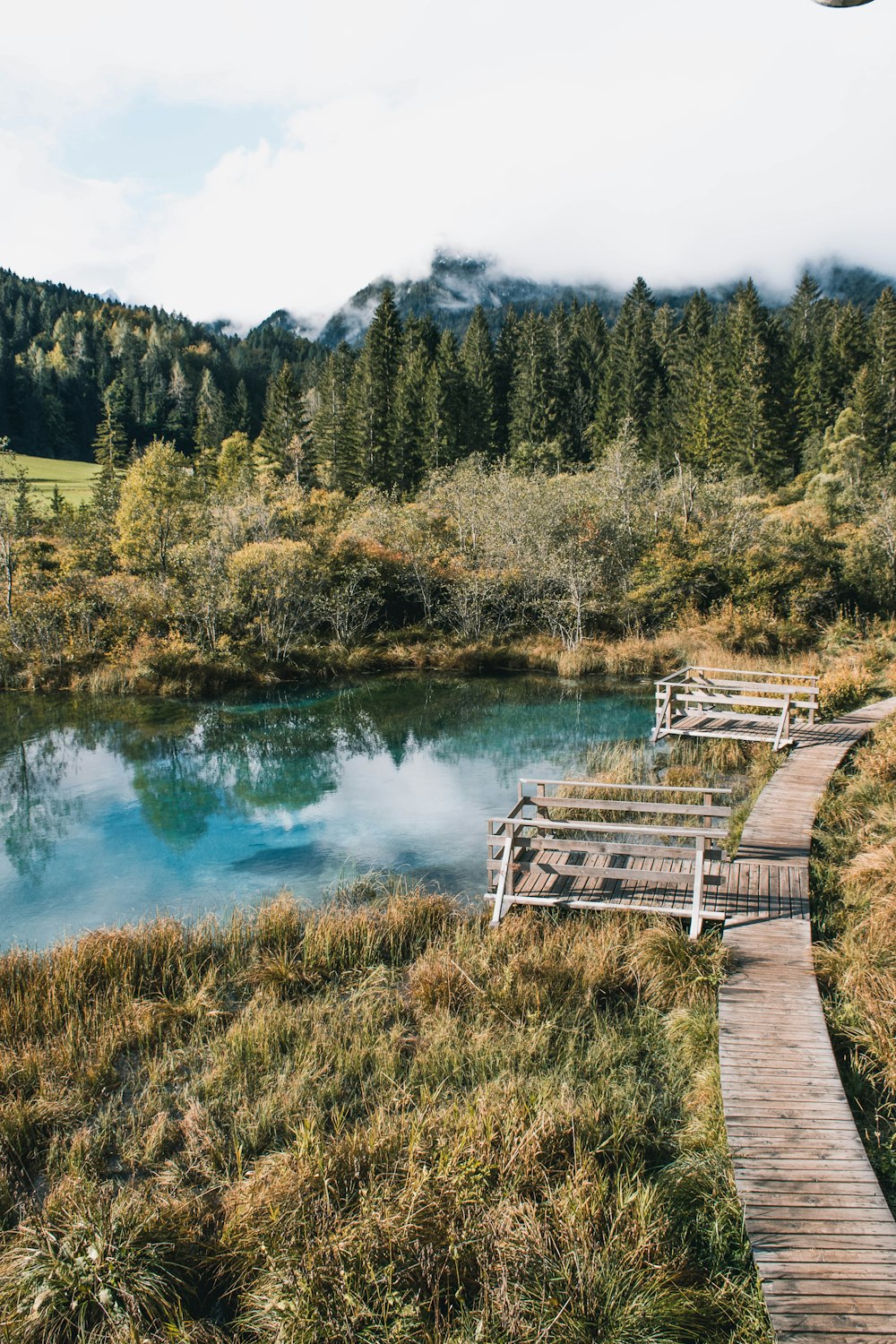 brown wooden bridge over river surrounded by green trees during daytime