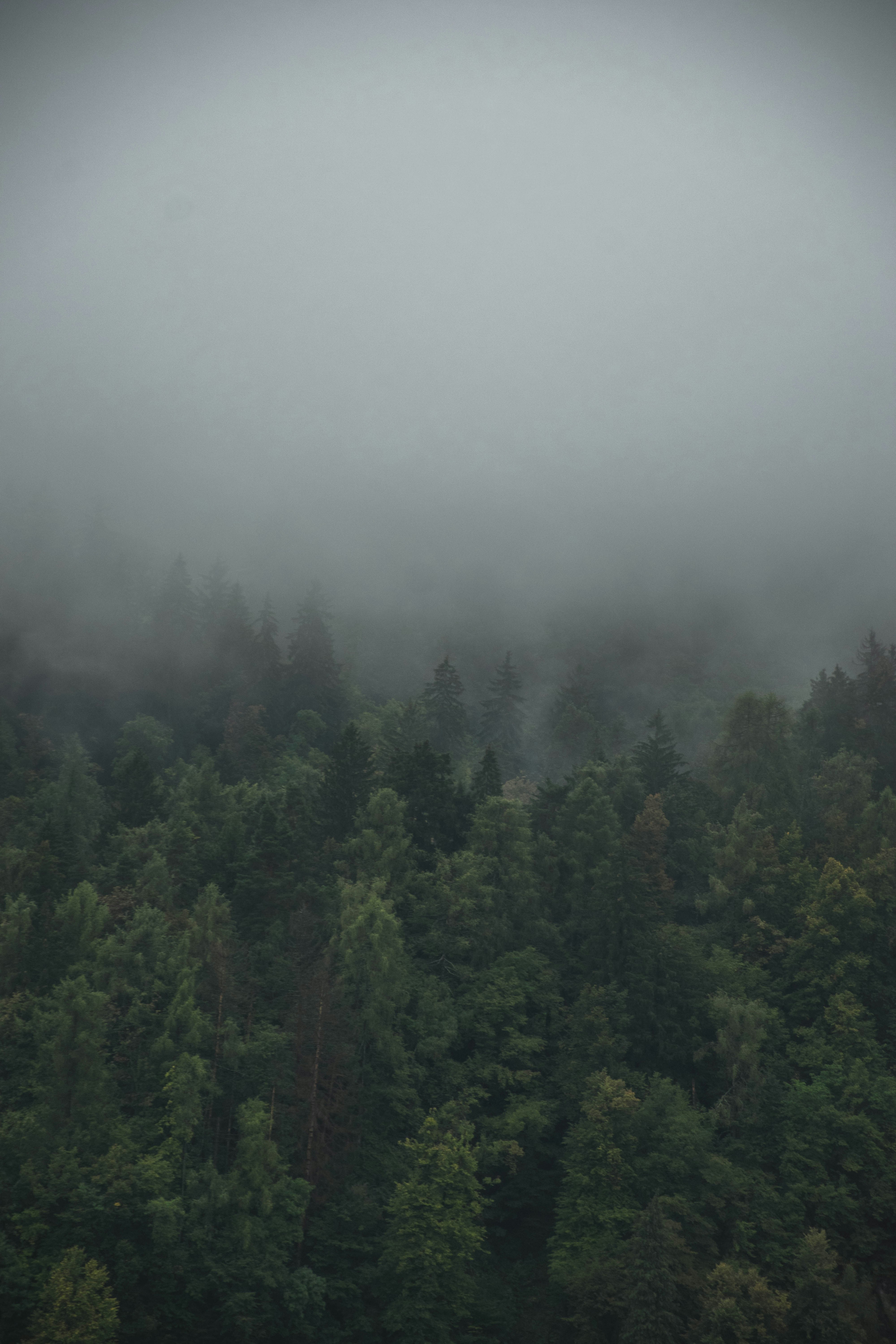 Photo by zanjanzekovic