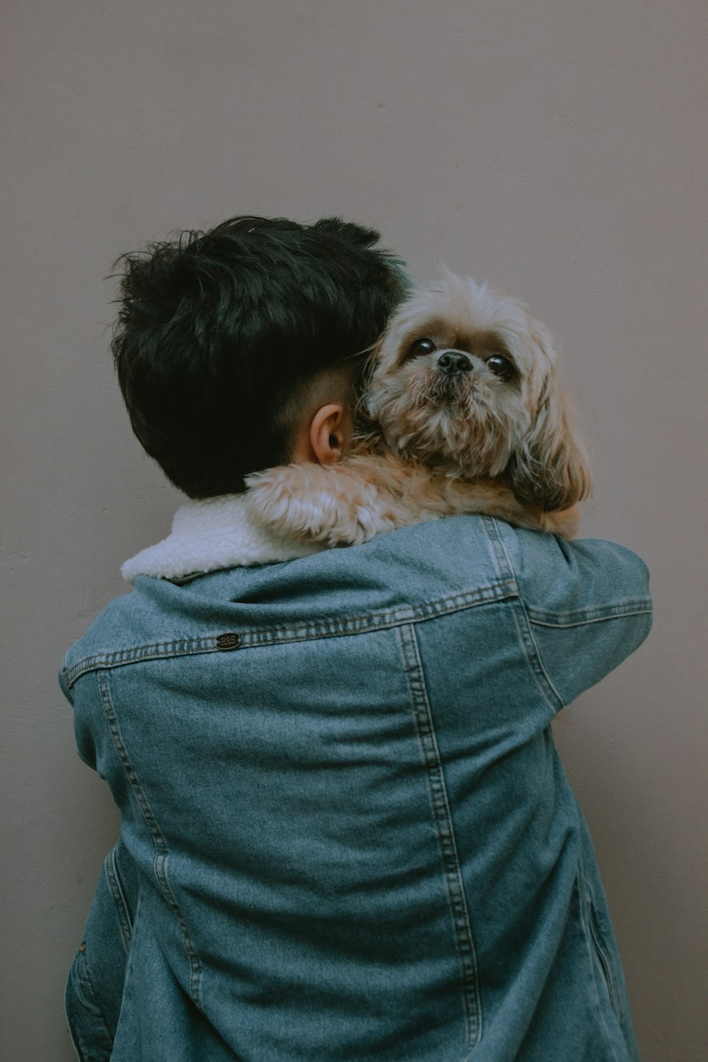 woman in blue denim jacket carrying white and black long coated small dog