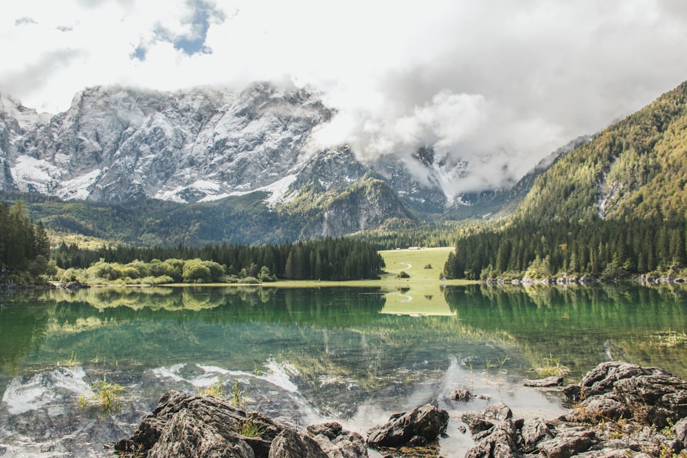 Árboles verdes cerca del lago y la montaña