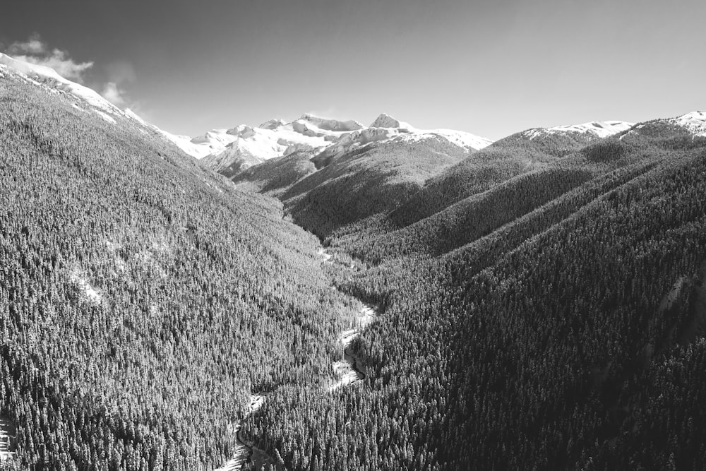 foto em tons de cinza de montanhas e árvores