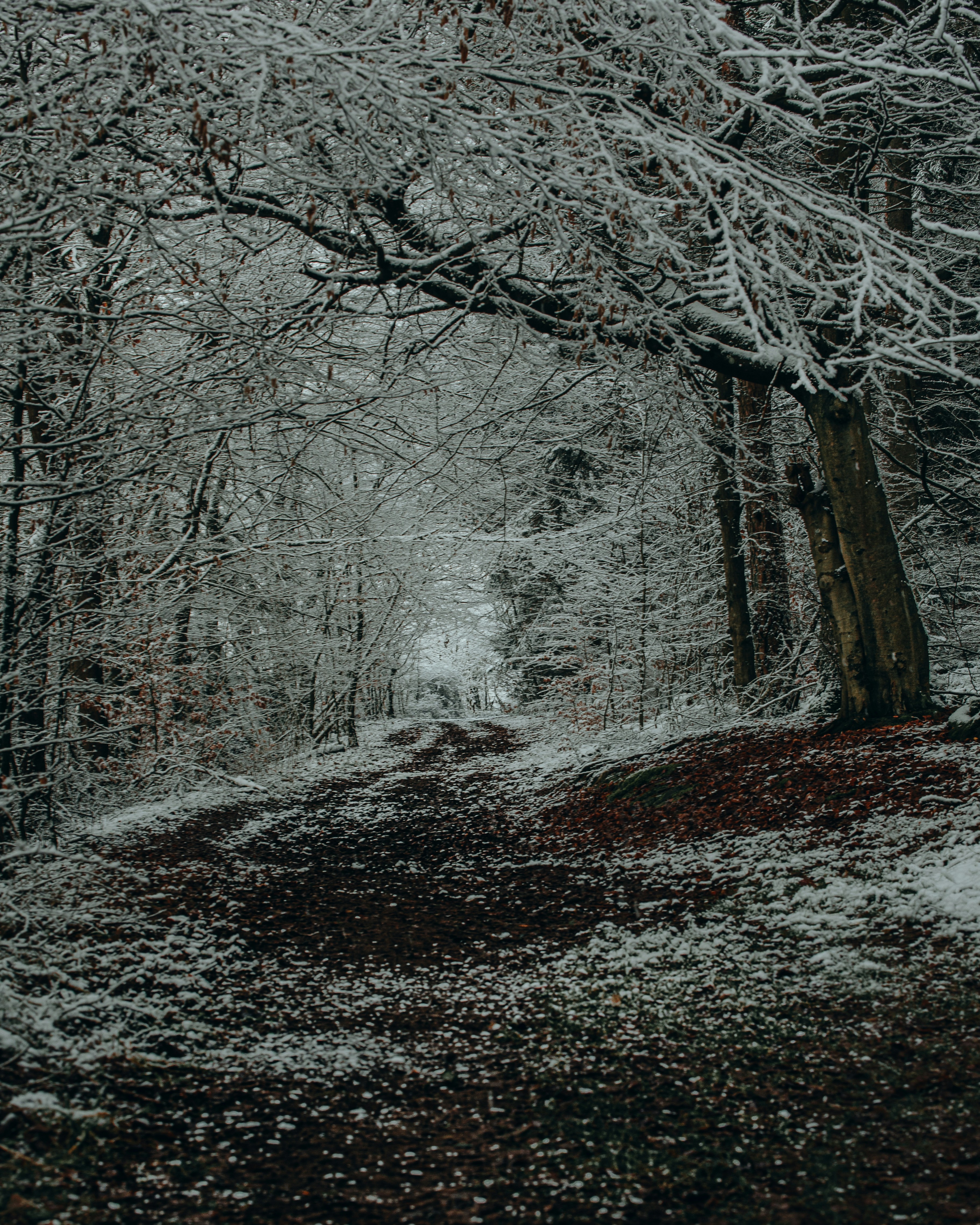 Photo by michaeloeser