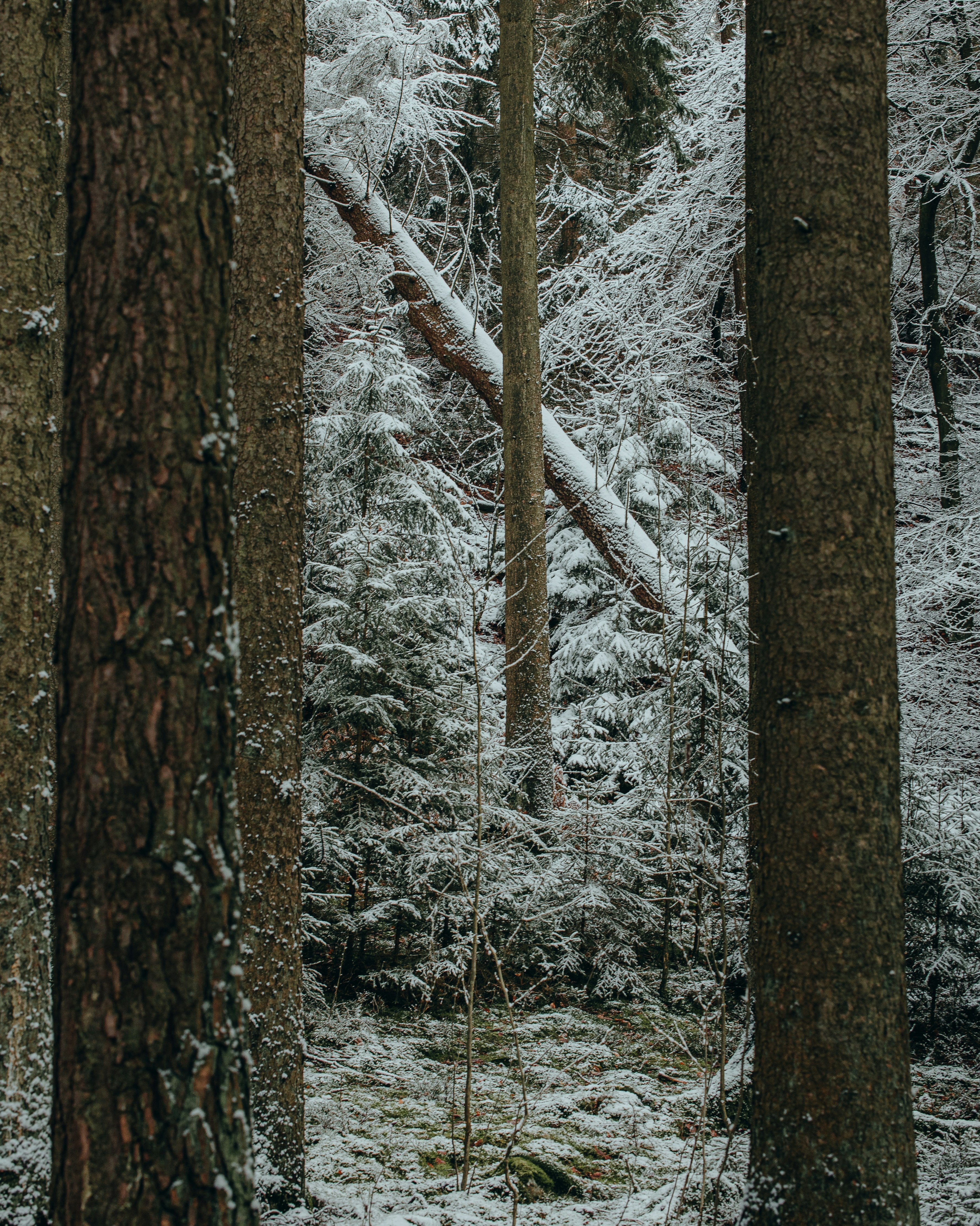 Photo by michaeloeser