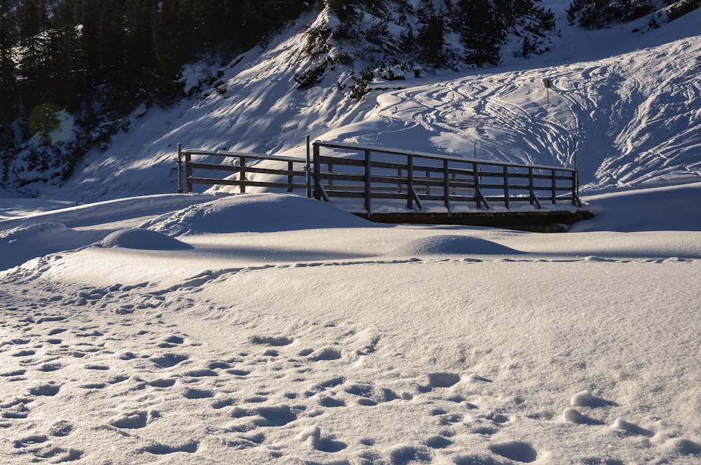 snow covered field and trees during daytime