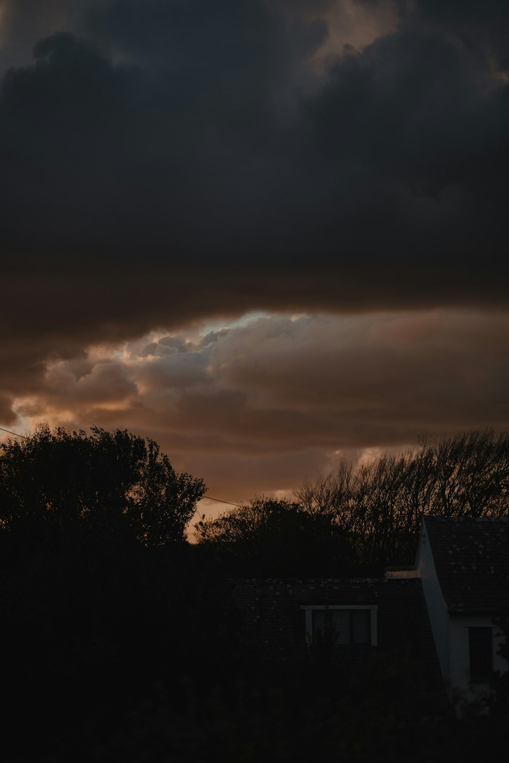 silhouette of trees during sunset