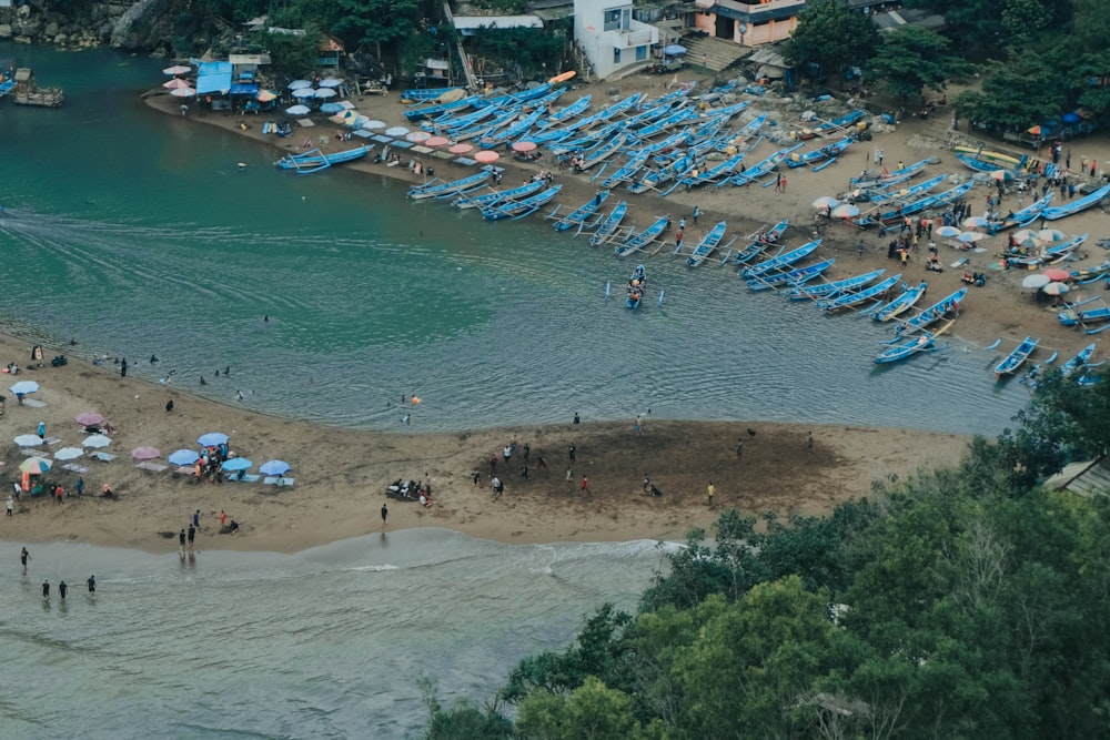 people on beach during daytime