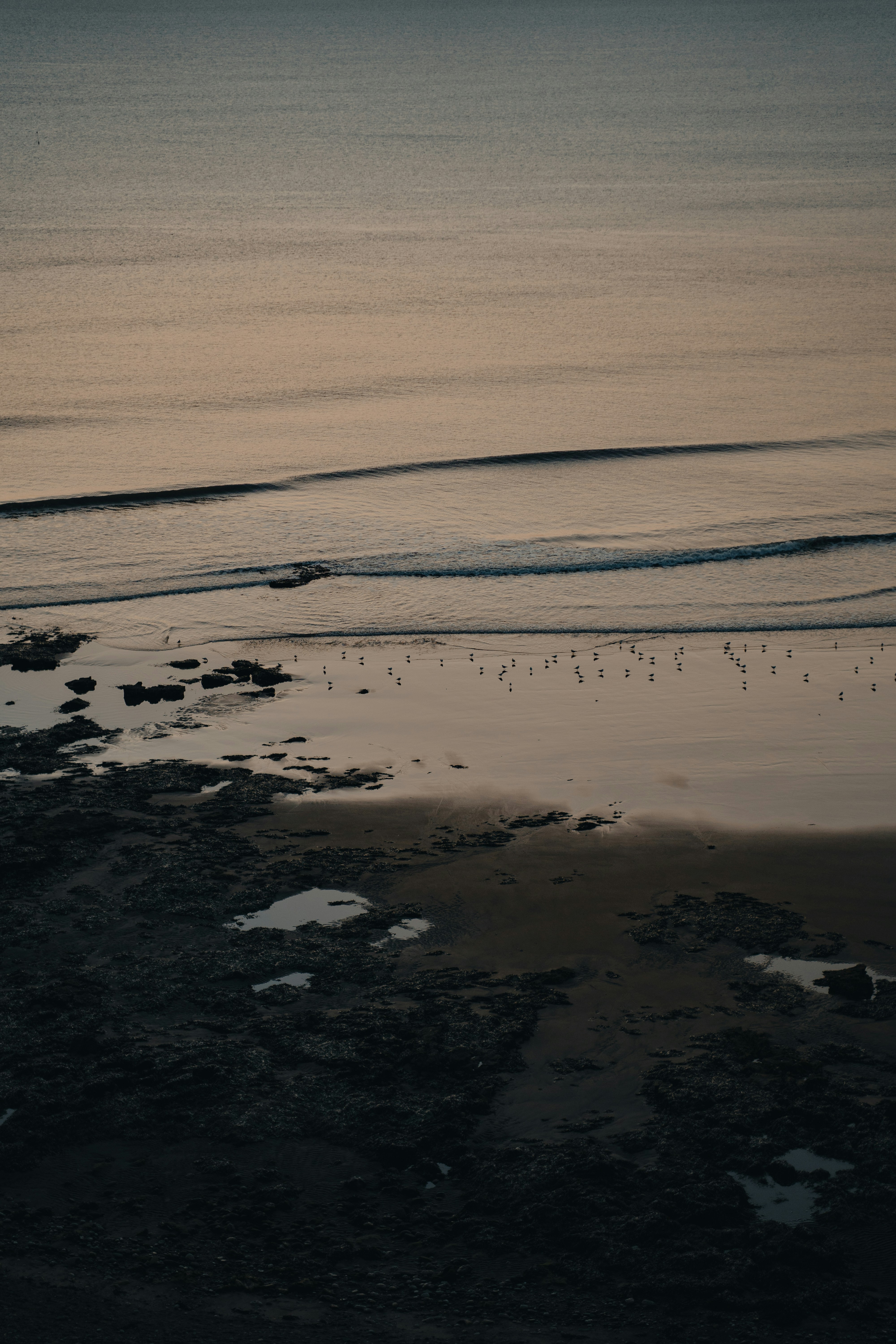 Photo by henry_ravenscroft_