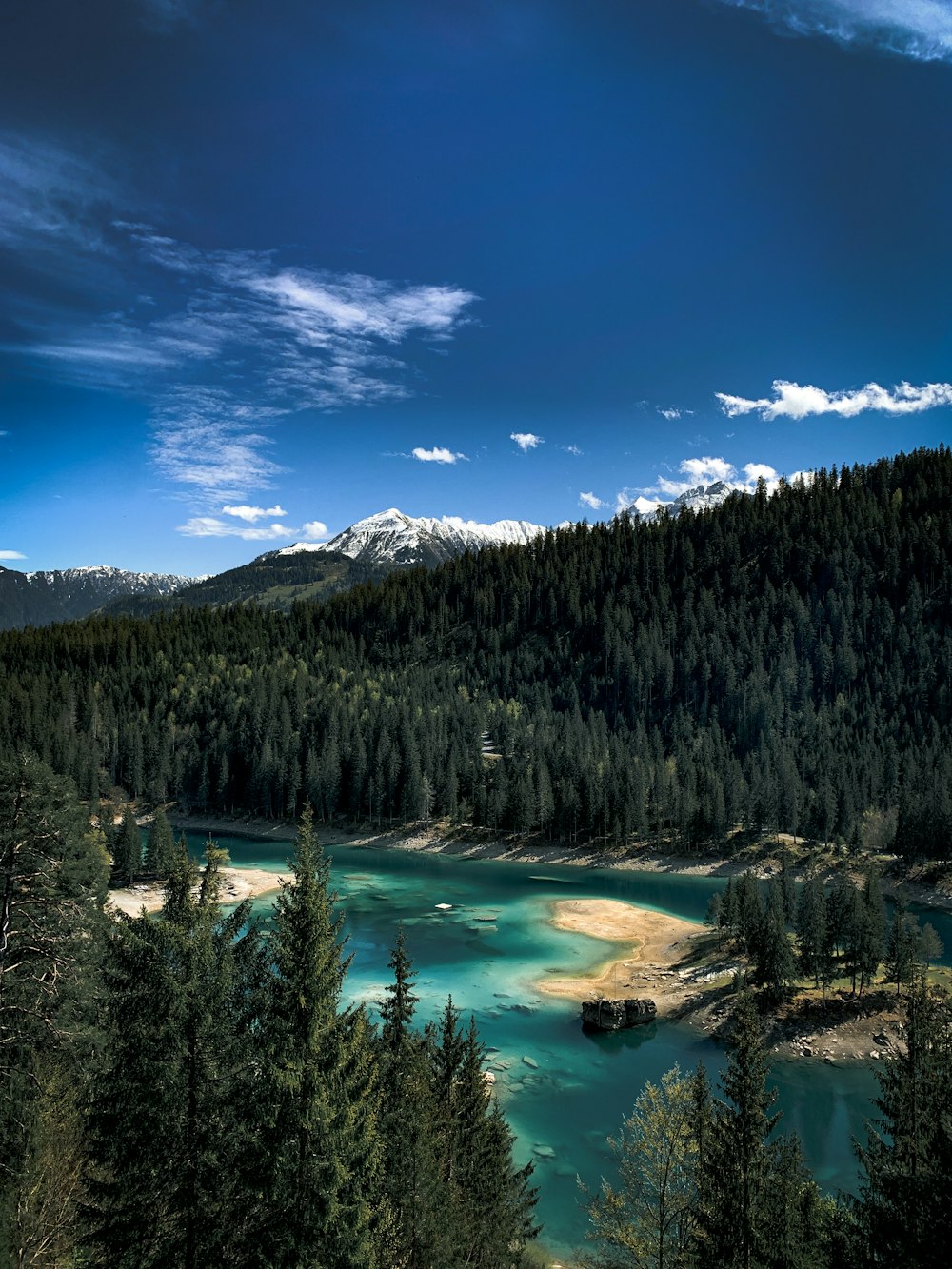 green pine trees near lake under blue sky during daytime