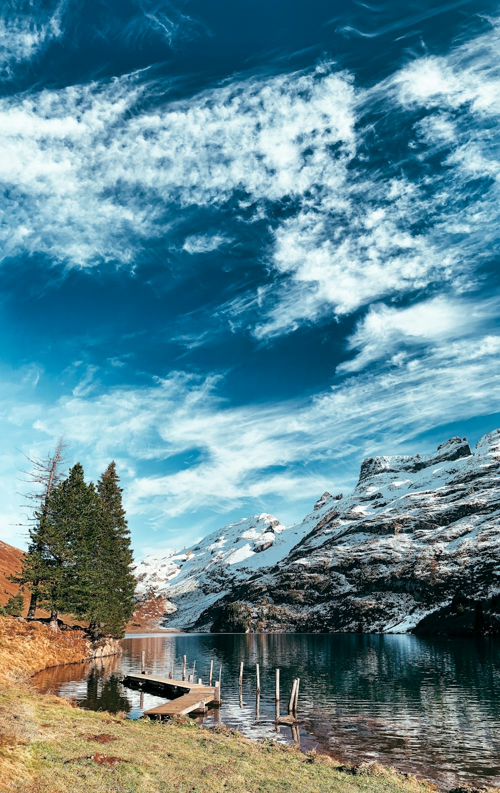 pini verdi su terreno coperto di neve sotto cielo nuvoloso blu e bianco durante il giorno