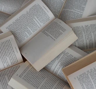 white and brown book on brown woven surface