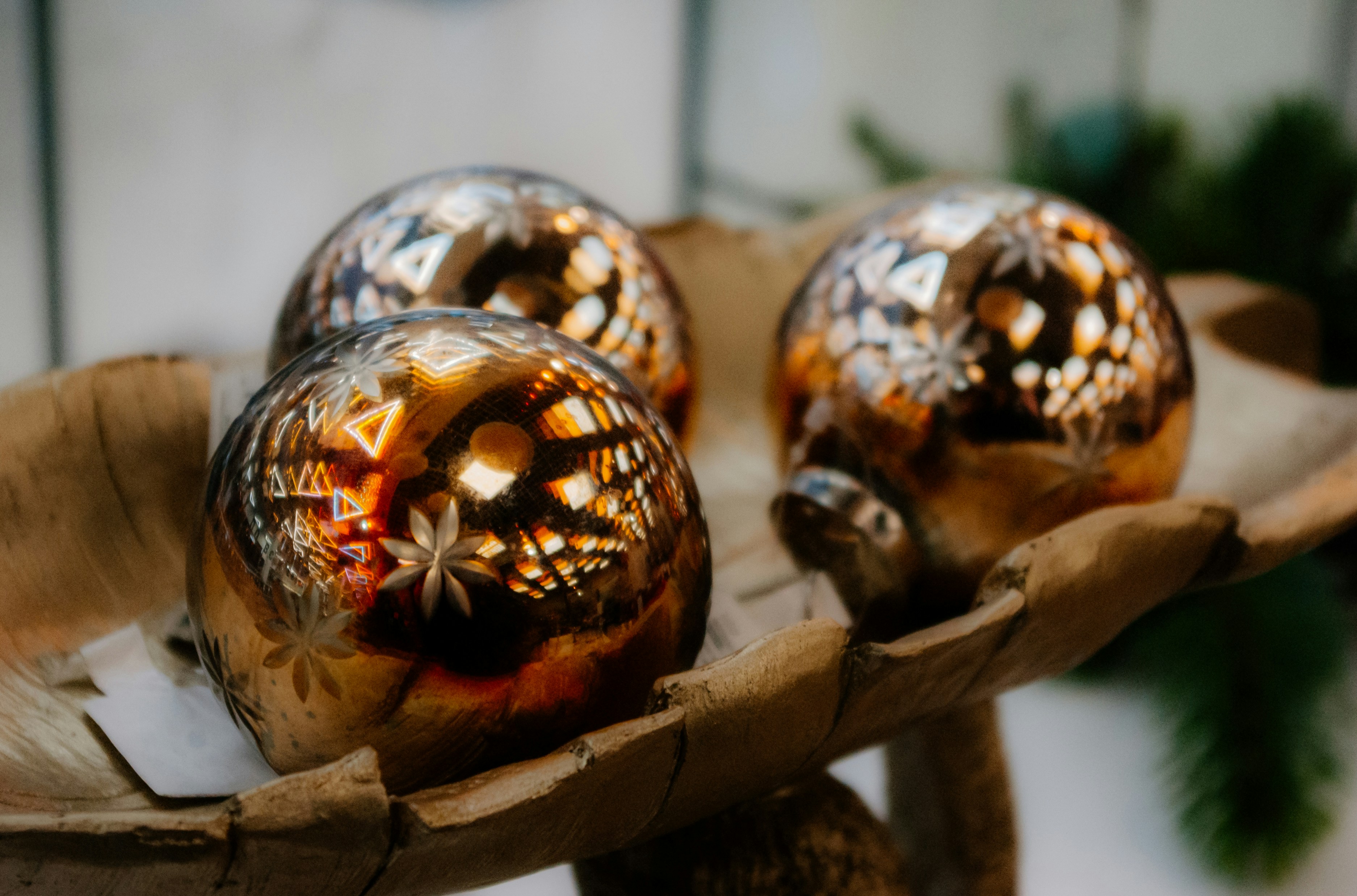 Photo by moonmoons_days