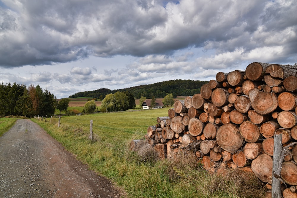 bûches de bois brun sur un champ d’herbe verte sous des nuages blancs et un ciel bleu pendant la journée