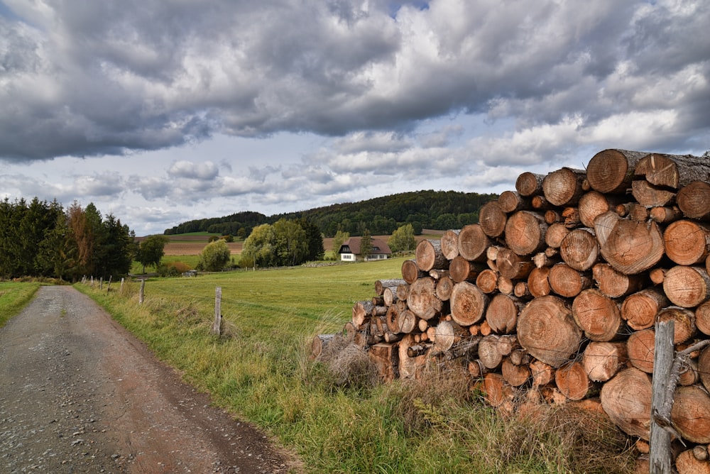 brown wood logs on green grass field under white clouds and blue sky during daytime