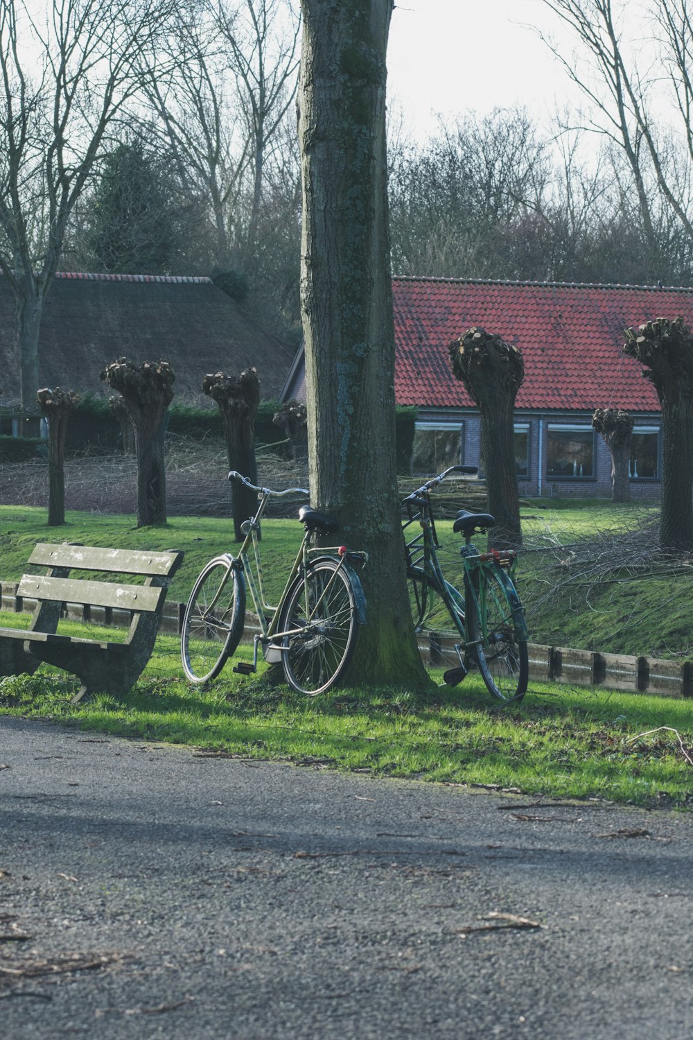 blue commuter bike parked beside brown wooden bench