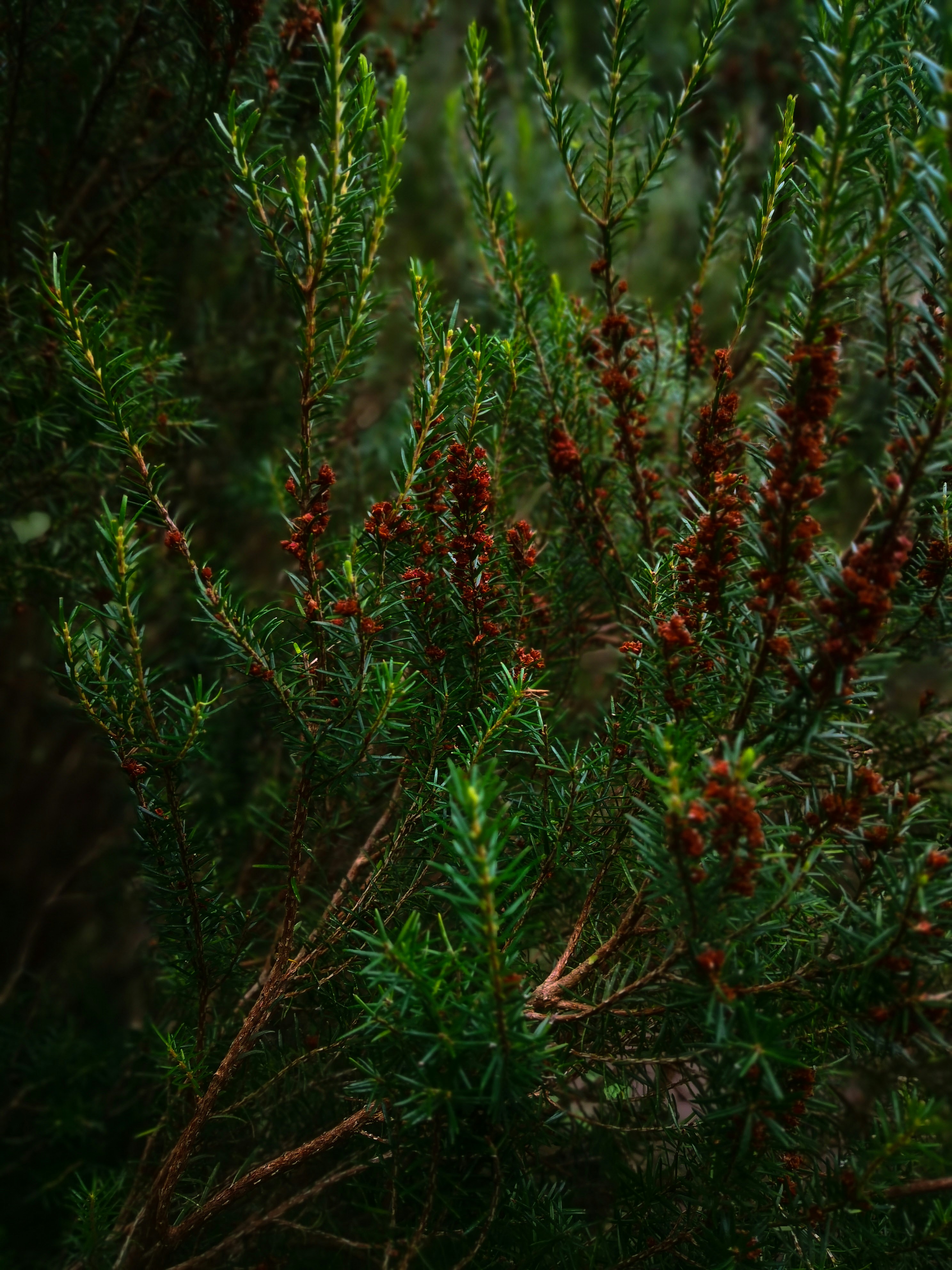 Photo by raluca_enea