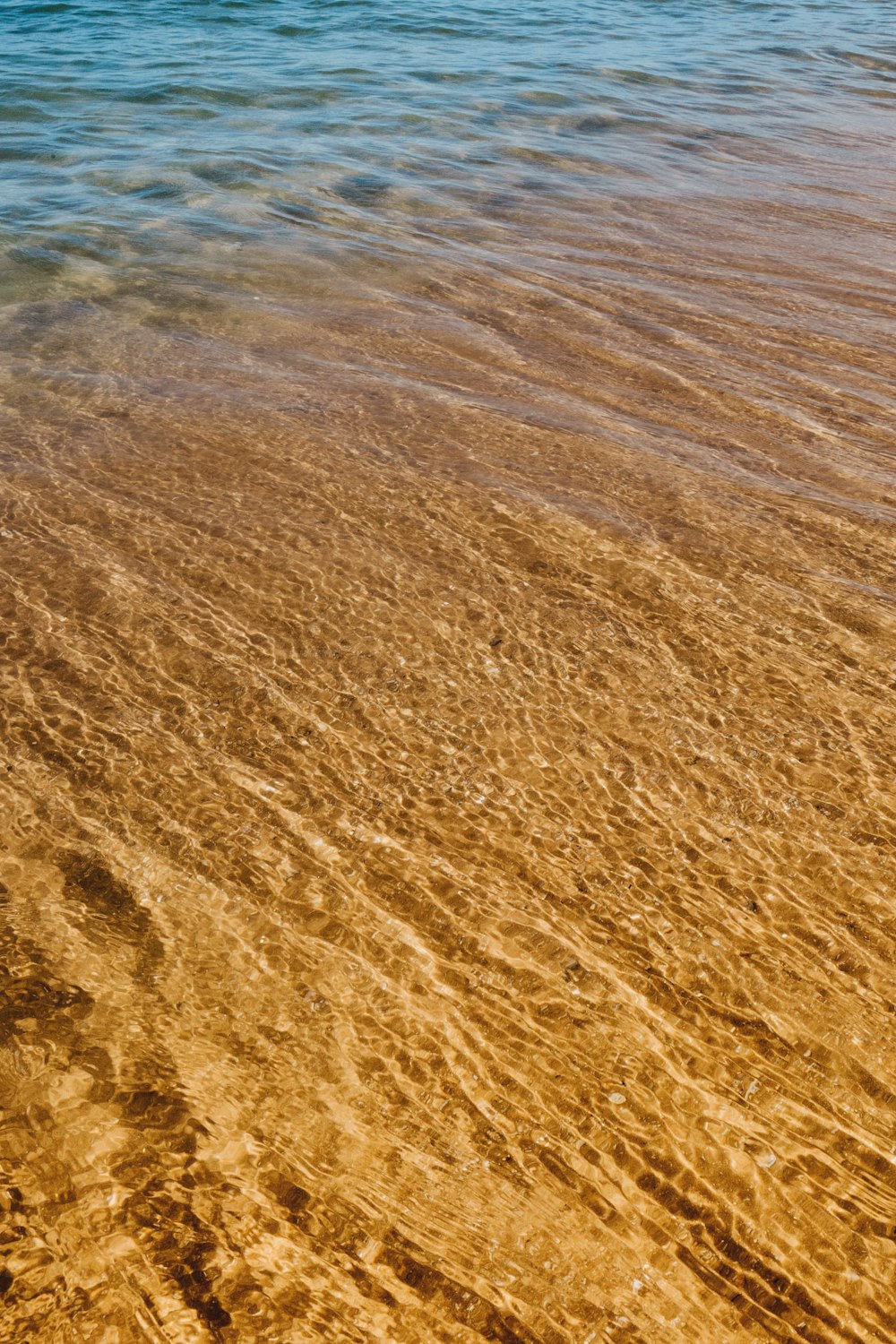 낮 동안 수역 근처의 갈색 모래