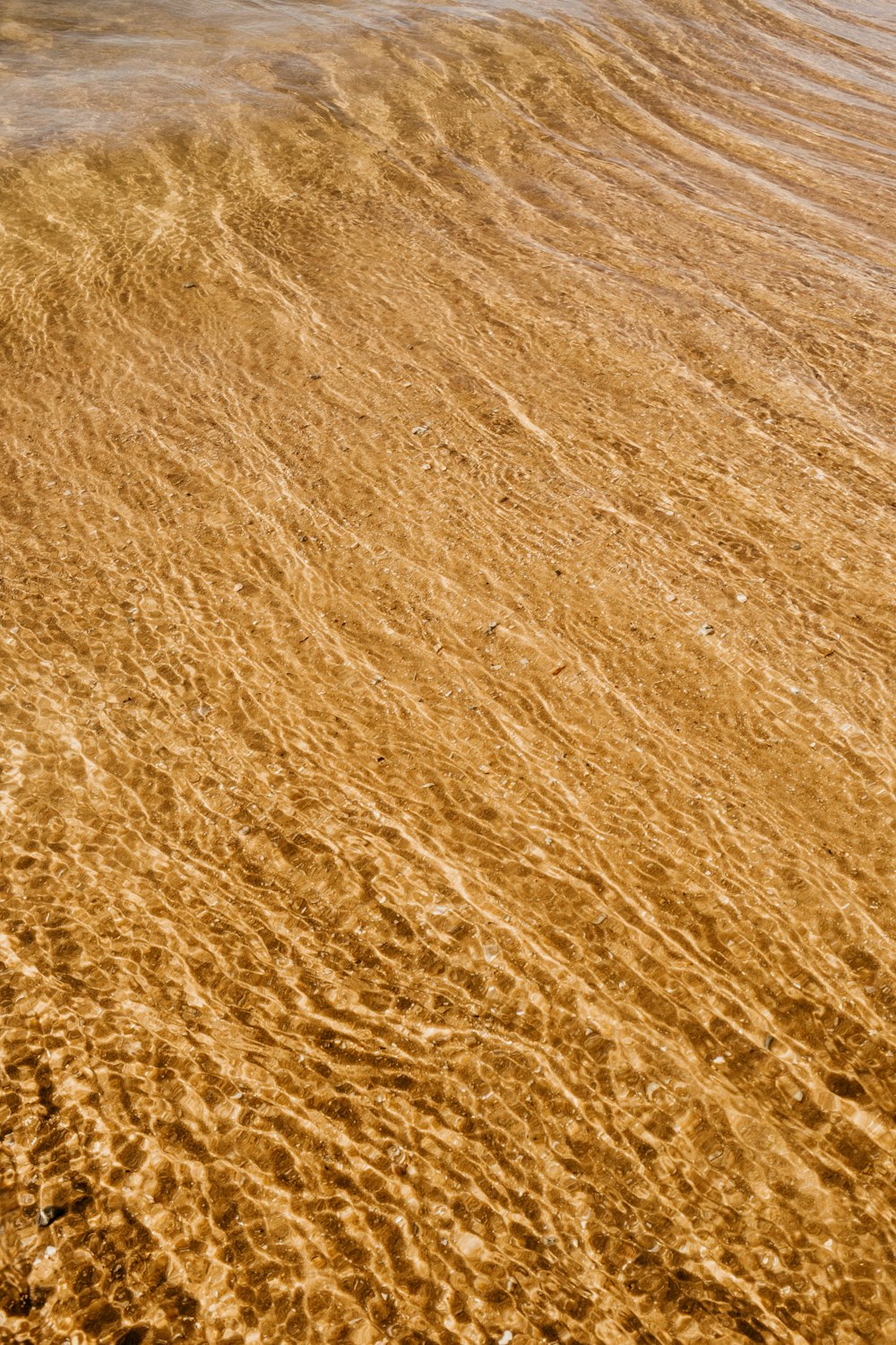 sable brun avec un sol brun