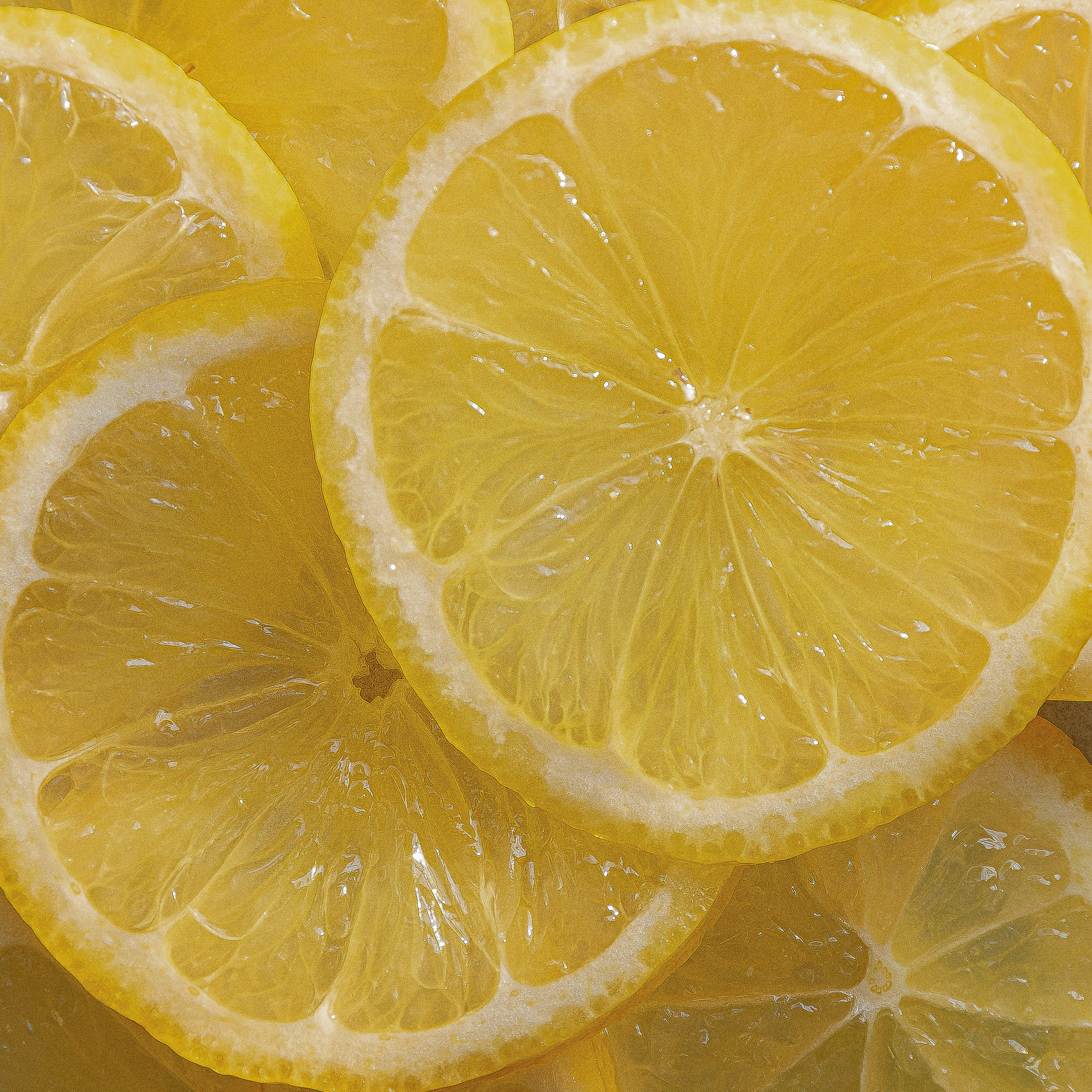 Overlapping bright yellow lemon slices with visible pulp and translucent rinds