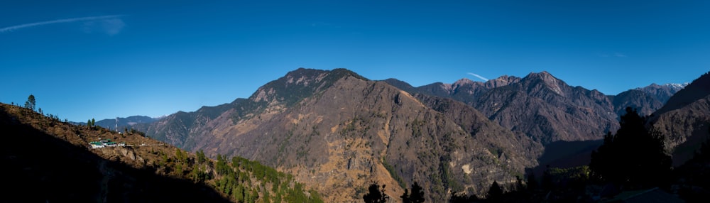 green trees on mountain under blue sky during daytime