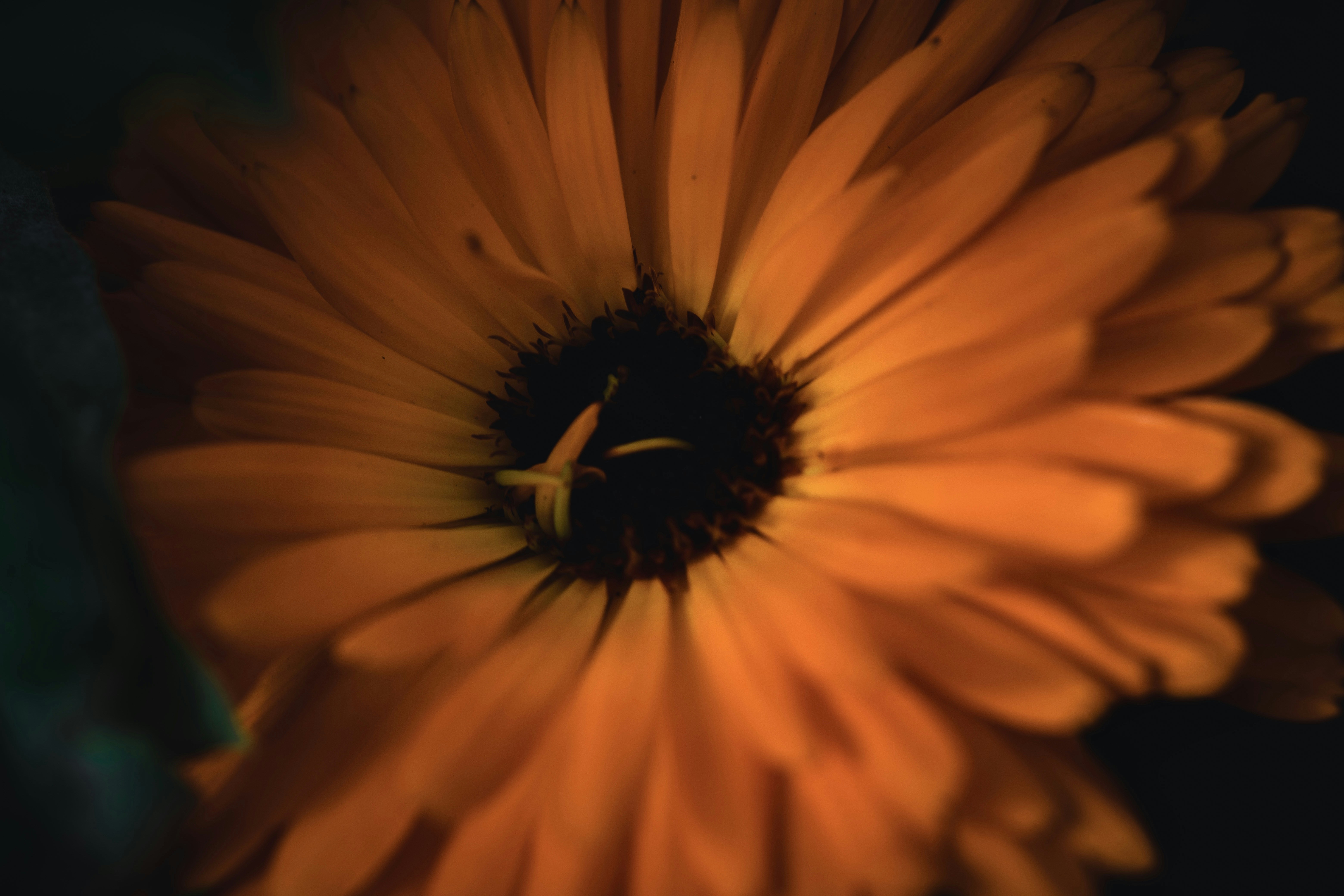 Photo by danthevirgo