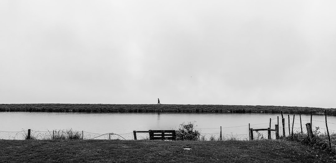 grayscale photo of bench near body of water