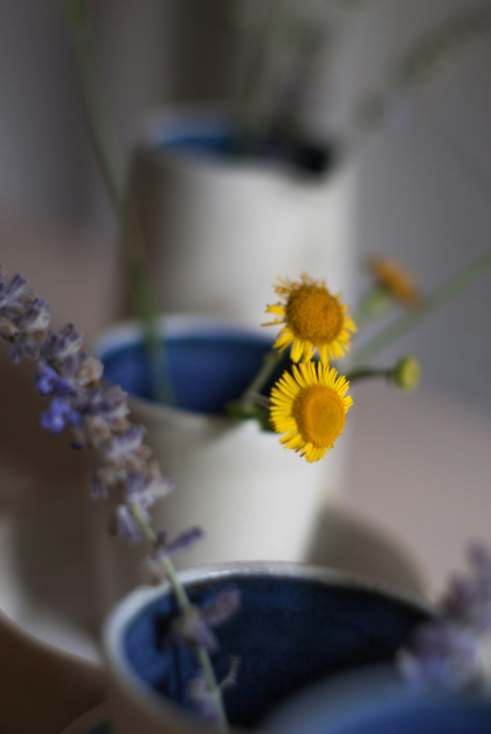 white and yellow flower in blue ceramic vase