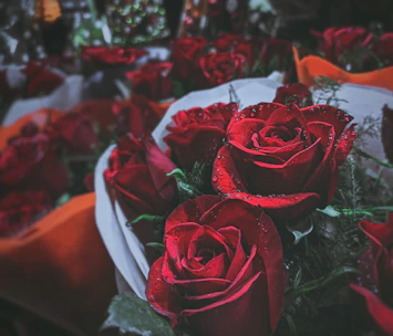Close-up of a luxurious red rose bouquet with gold ribbon details.