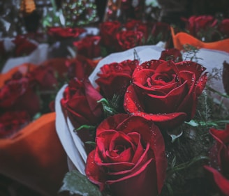 Close-up of a luxurious bouquet of vibrant premium Ecuadorian roses wrapped in elegant paper