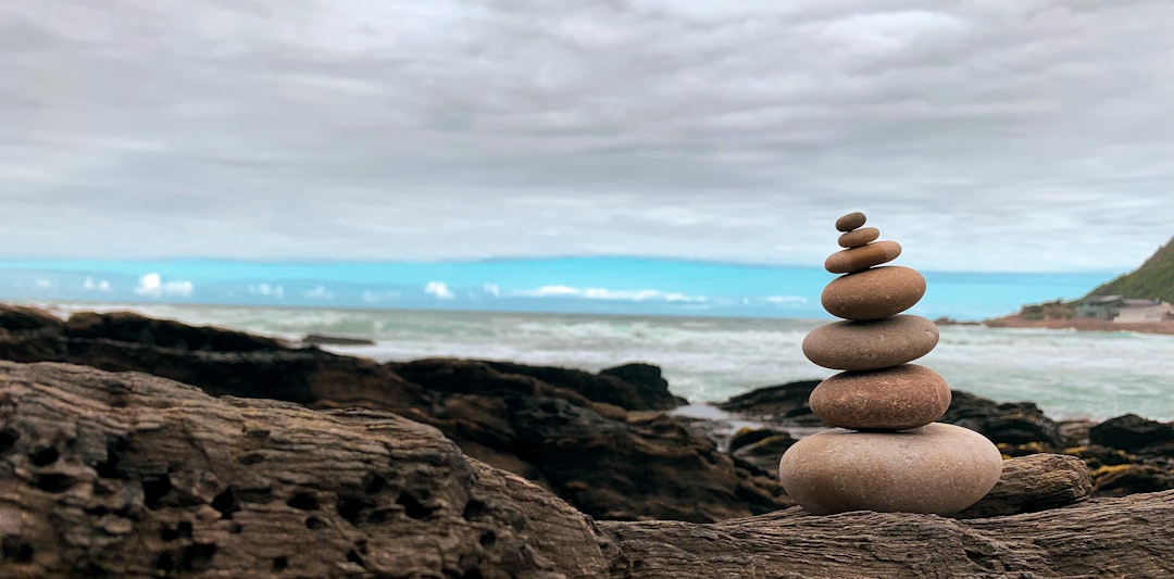 brown stones on brown sand near body of water during daytime