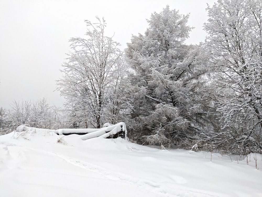 a snow covered field with trees in the background