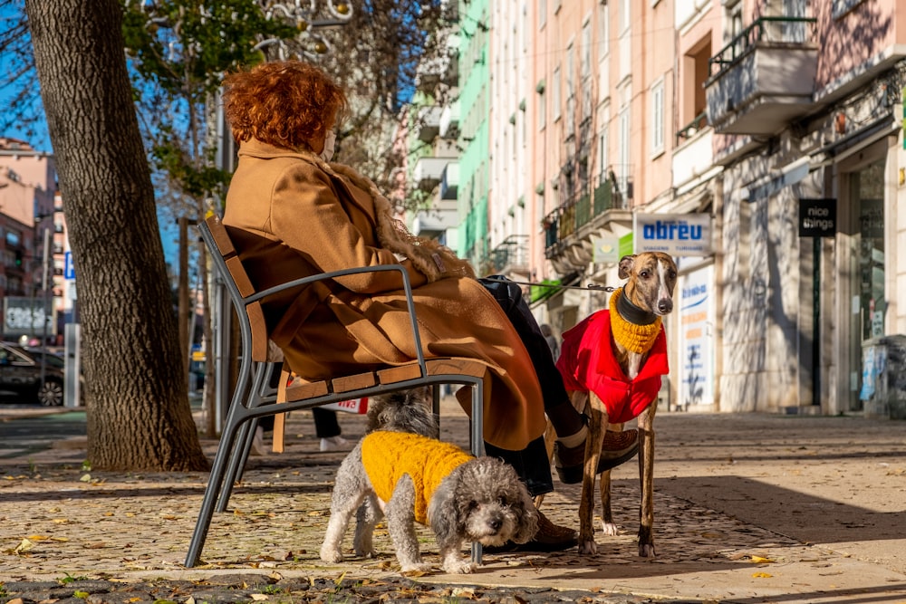 woman in red jacket sitting on chair beside white long coated small dog