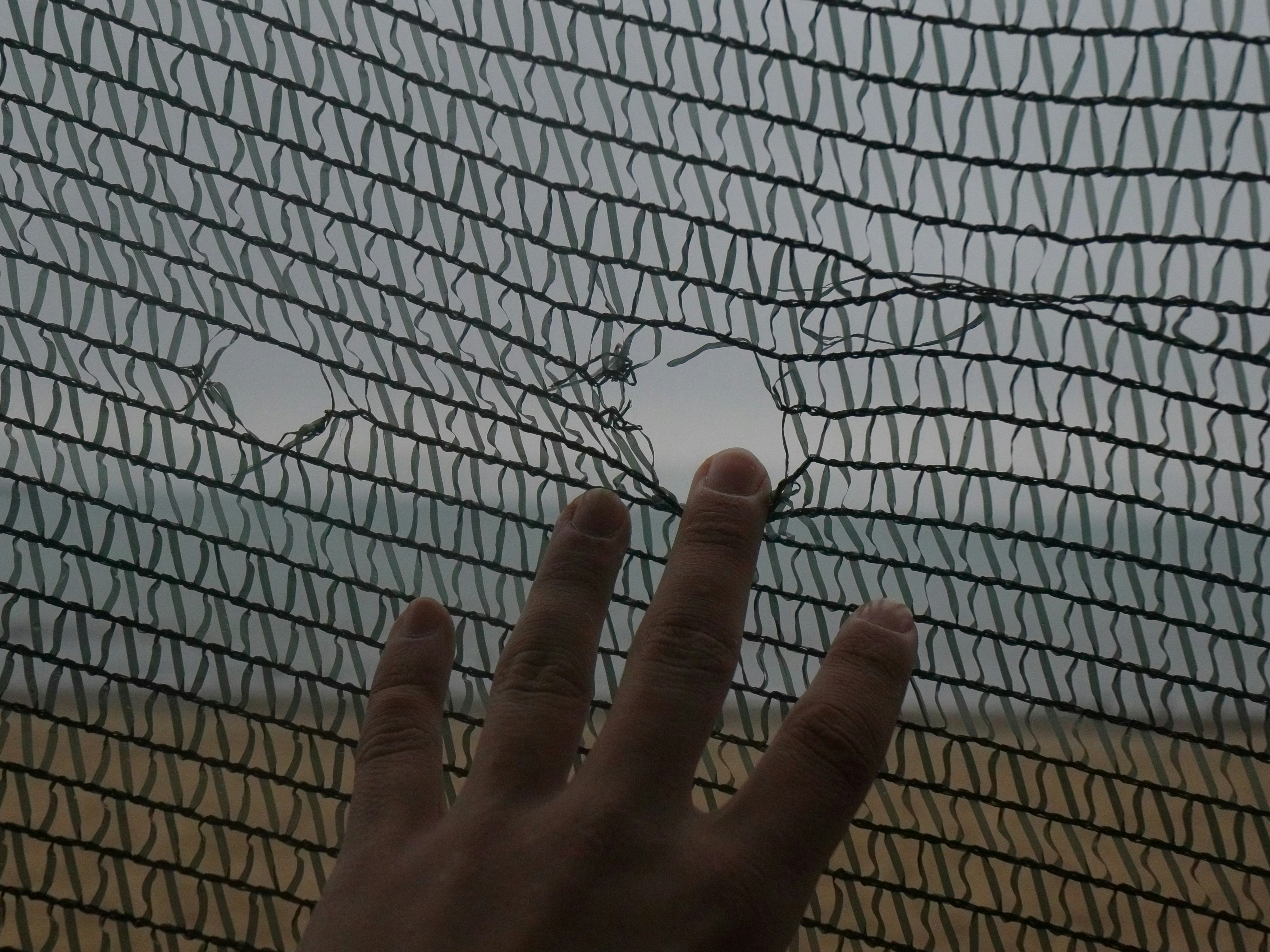 person holding white and black textile