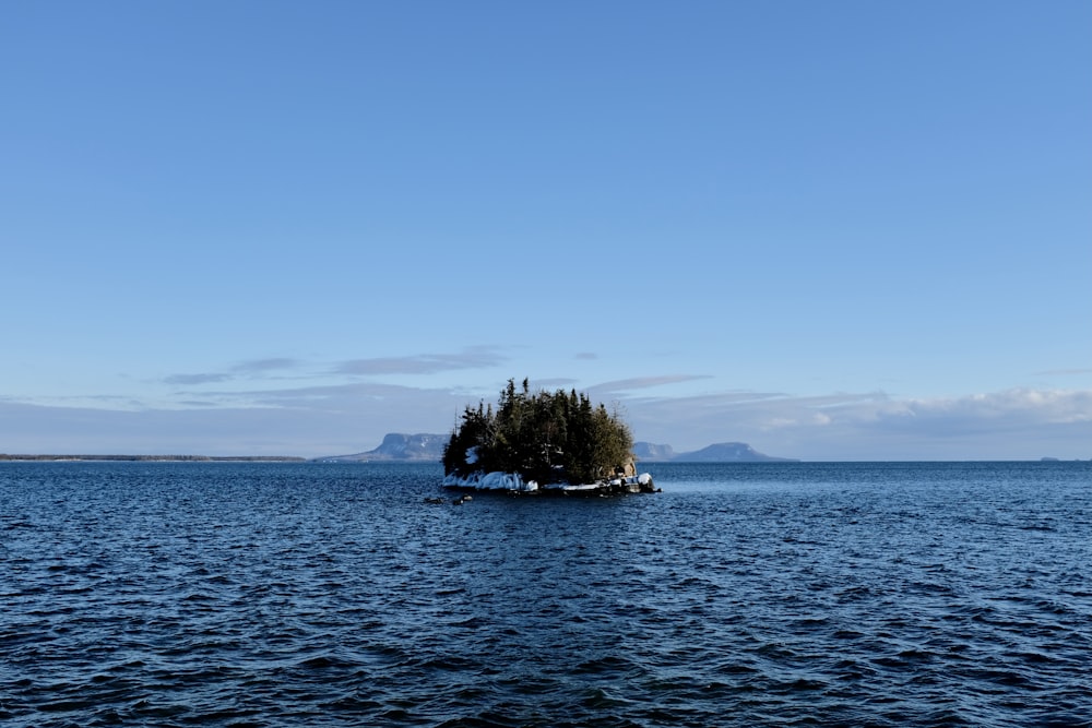 green tree on island surrounded by water during daytime