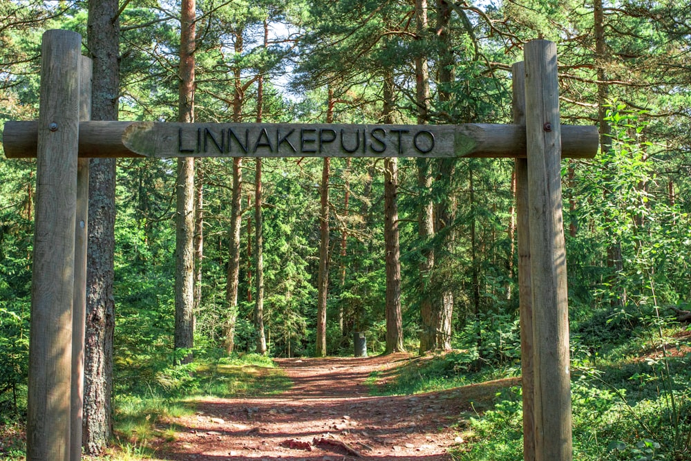 brown wooden signage on forest during daytime