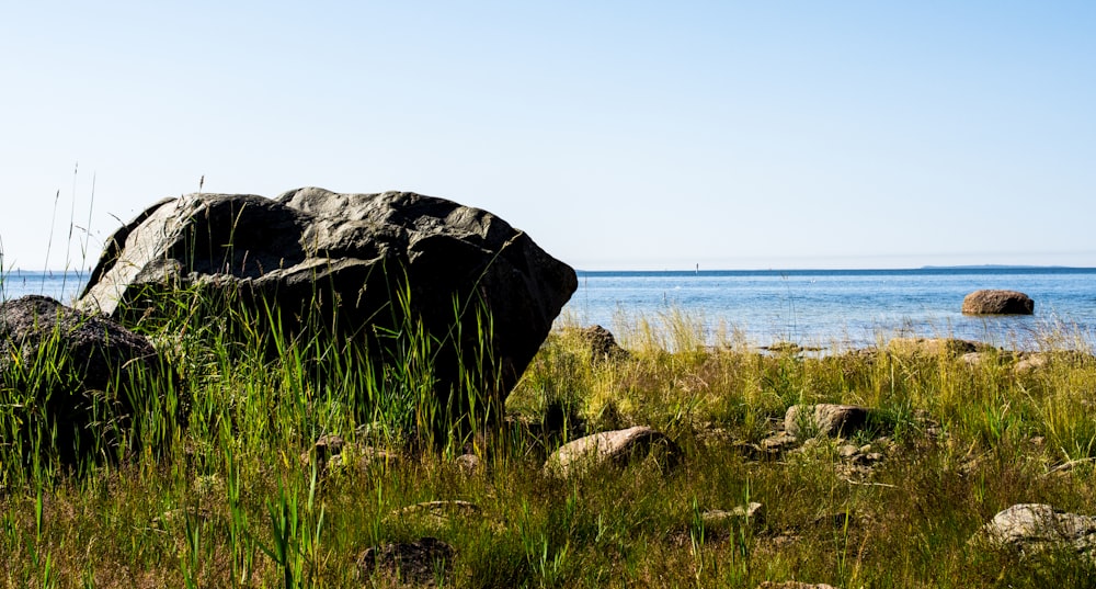 black rock formation near body of water during daytime