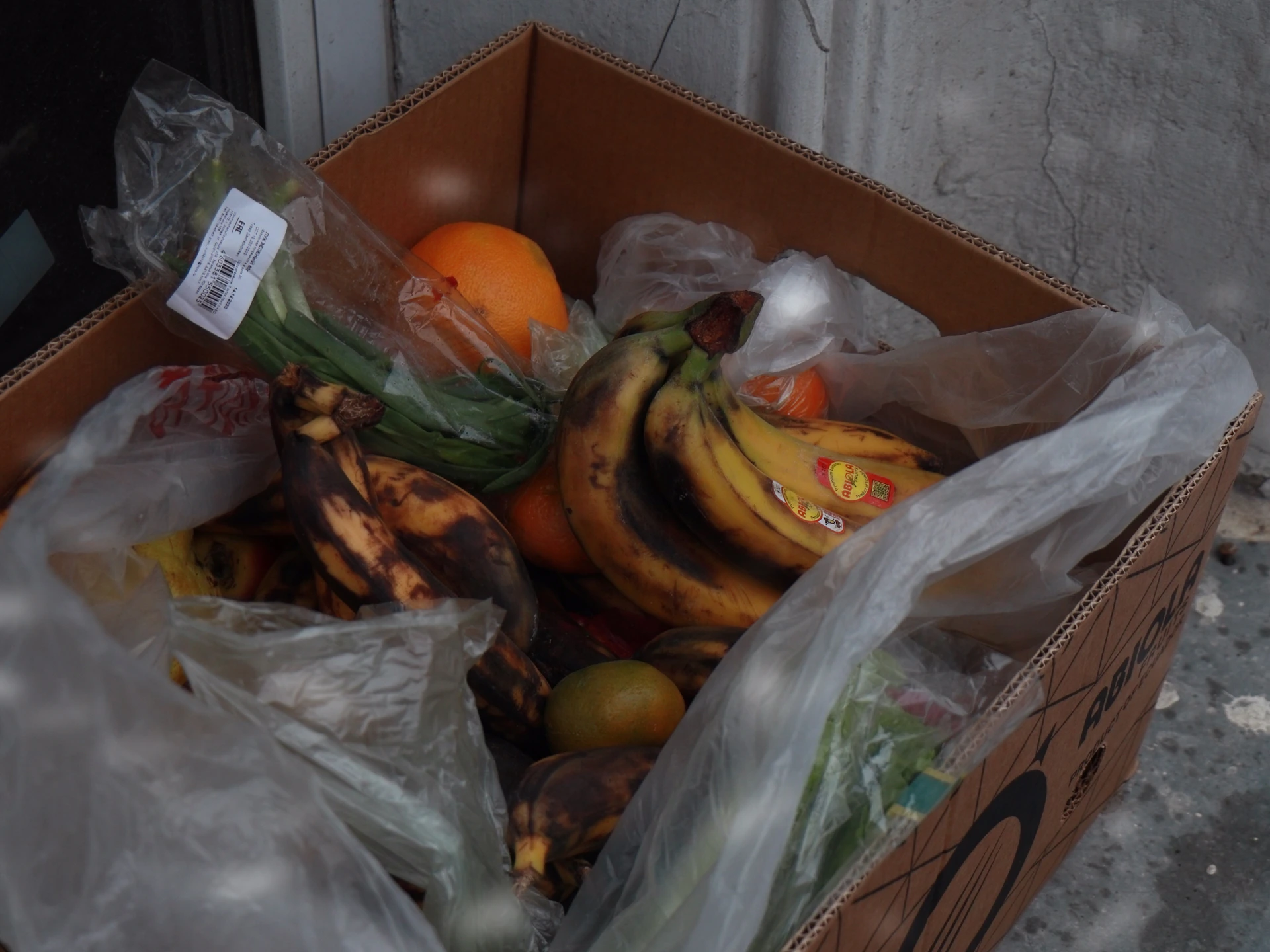orange fruits on brown cardboard box