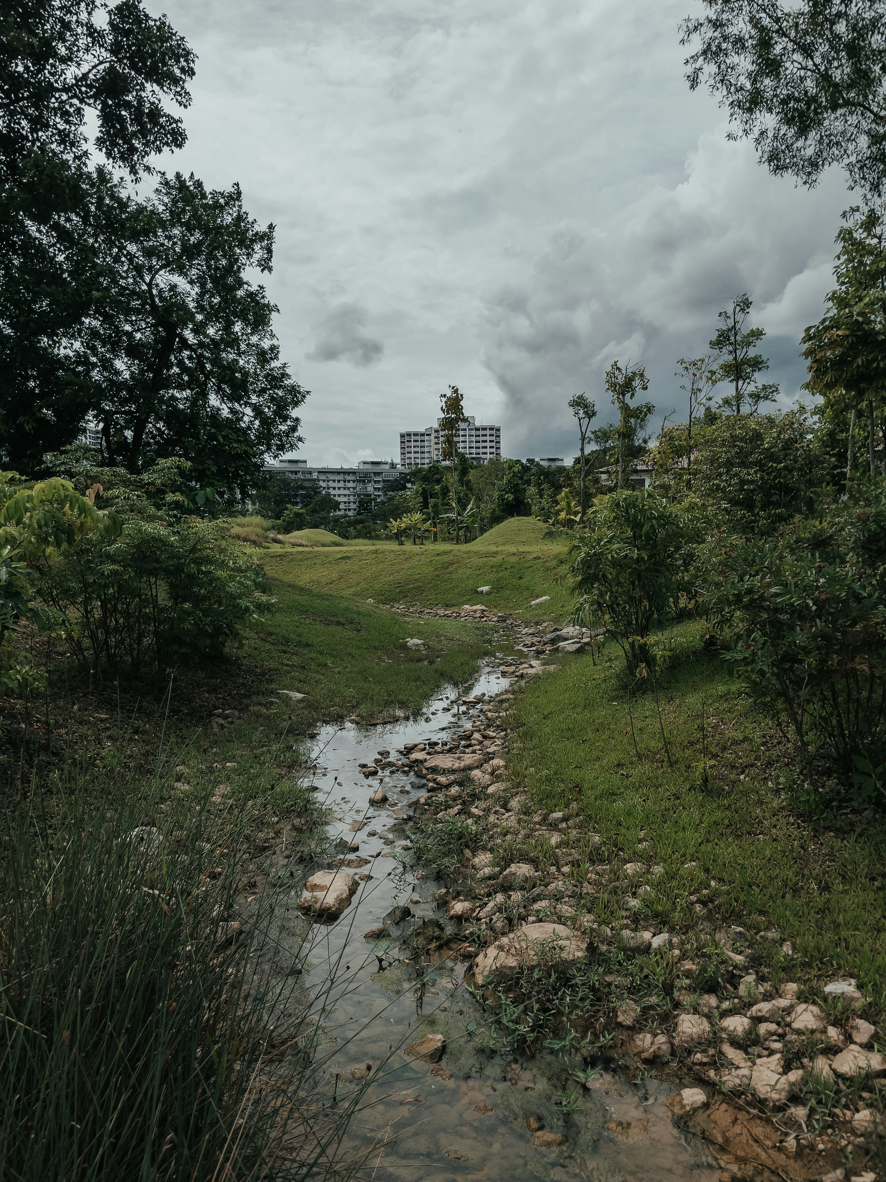 Lapangan rumput hijau dekat sungai di bawah langit mendung pada siang hari