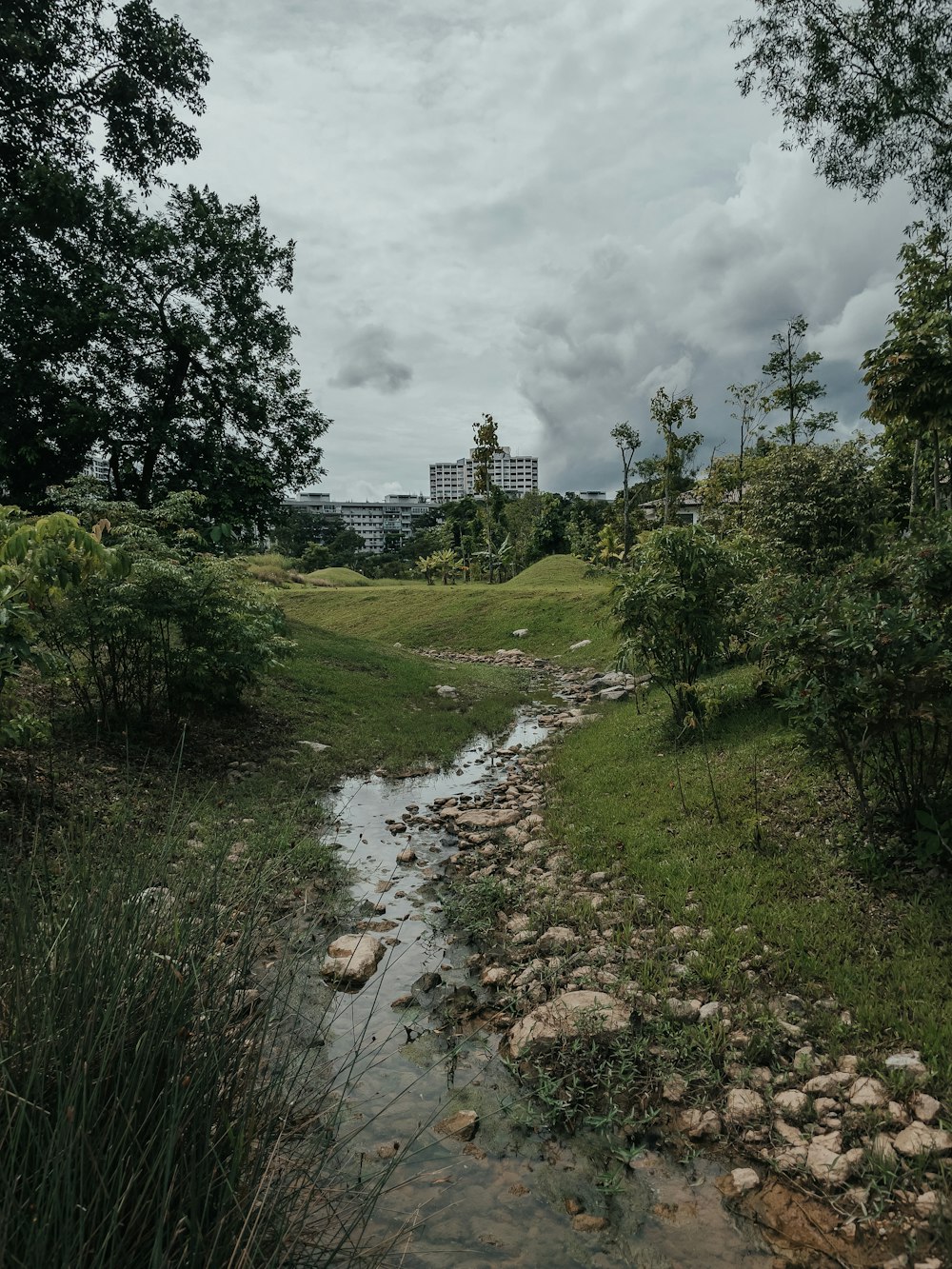 green grass field near river under cloudy sky during daytime