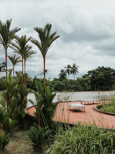 A serene lakeside scene featuring tall palm trees and lush greenery surrounding a wooden deck. The deck curves gently above the grass and offers a view of the calm water. Lounge chairs are positioned on the deck, indicating a place for relaxation. The sky is overcast with gray clouds, adding a peaceful yet slightly moody atmosphere.