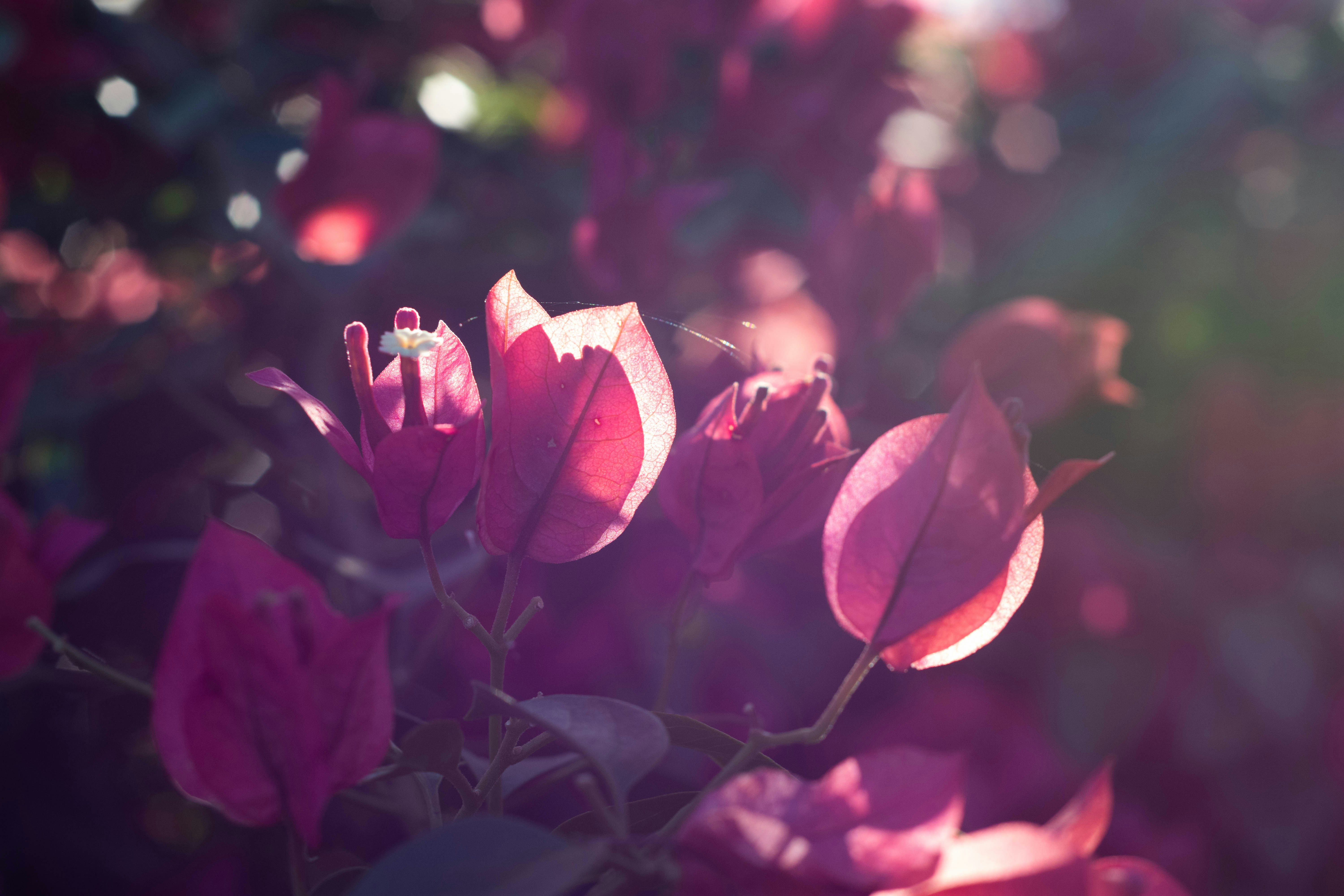 Photo by lucasgwendt