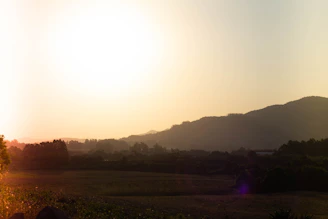 A serene landscape capturing the sun setting behind rolling hills with soft orange and purple hues.