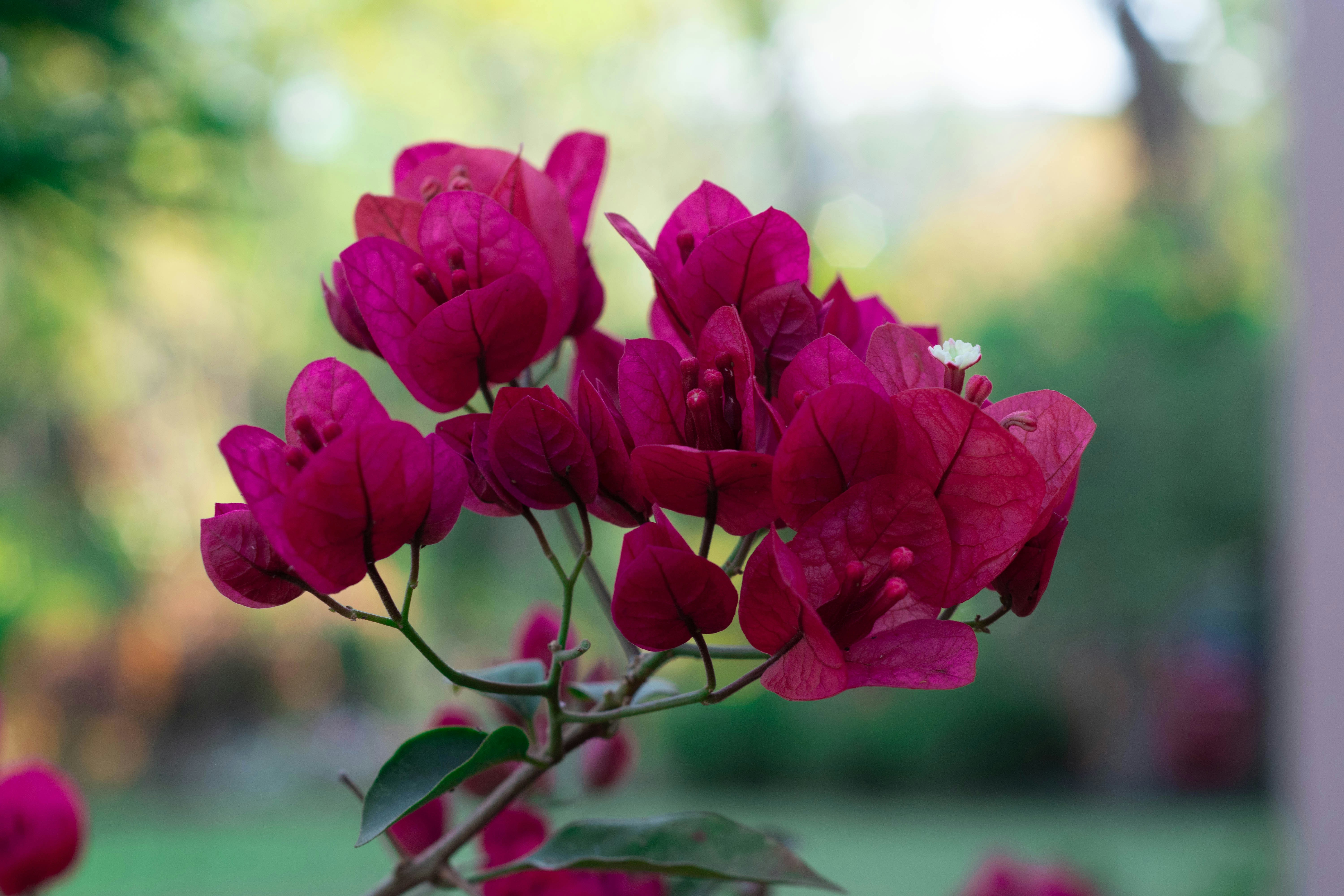 Photo by lucasgwendt