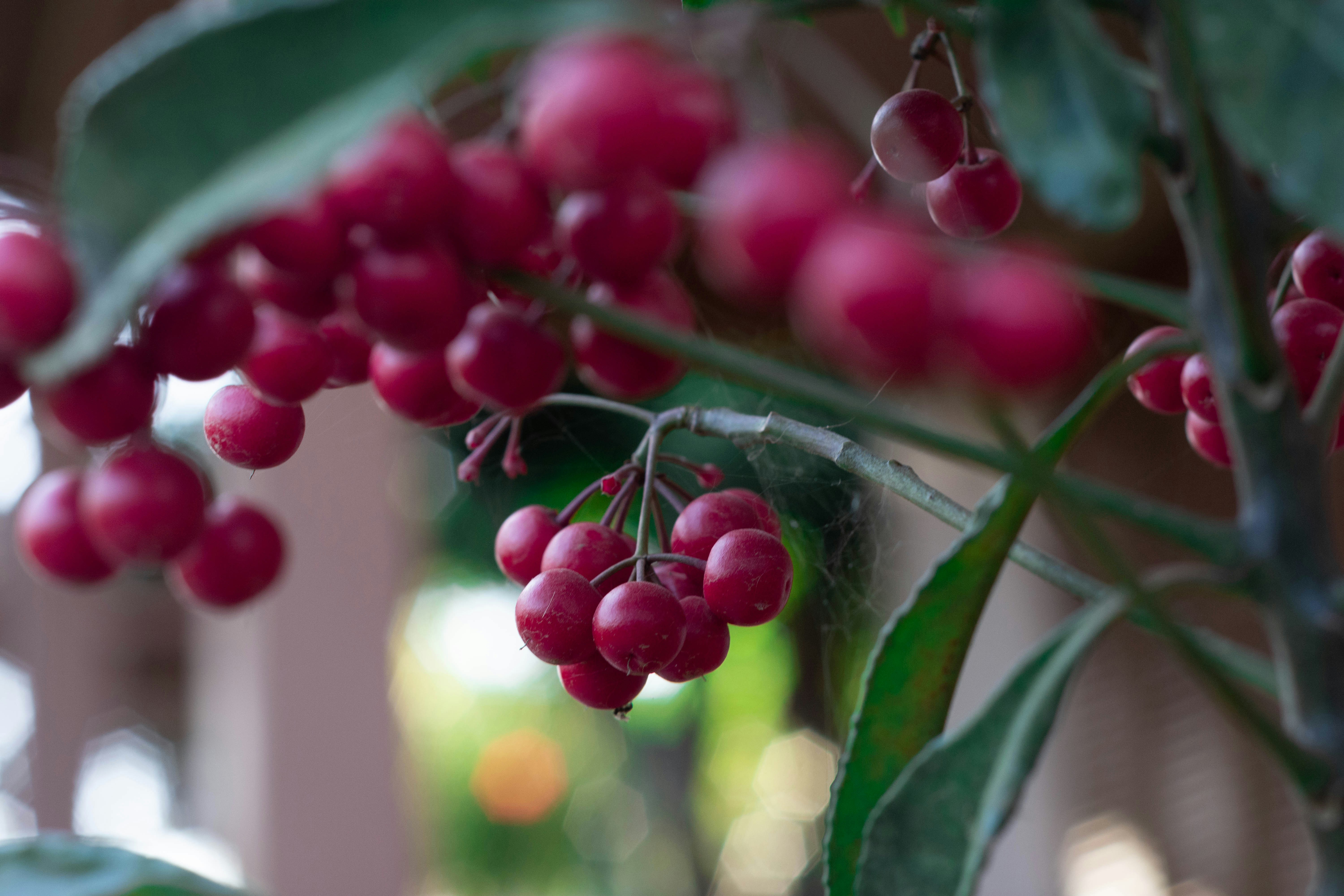 Photo by lucasgwendt