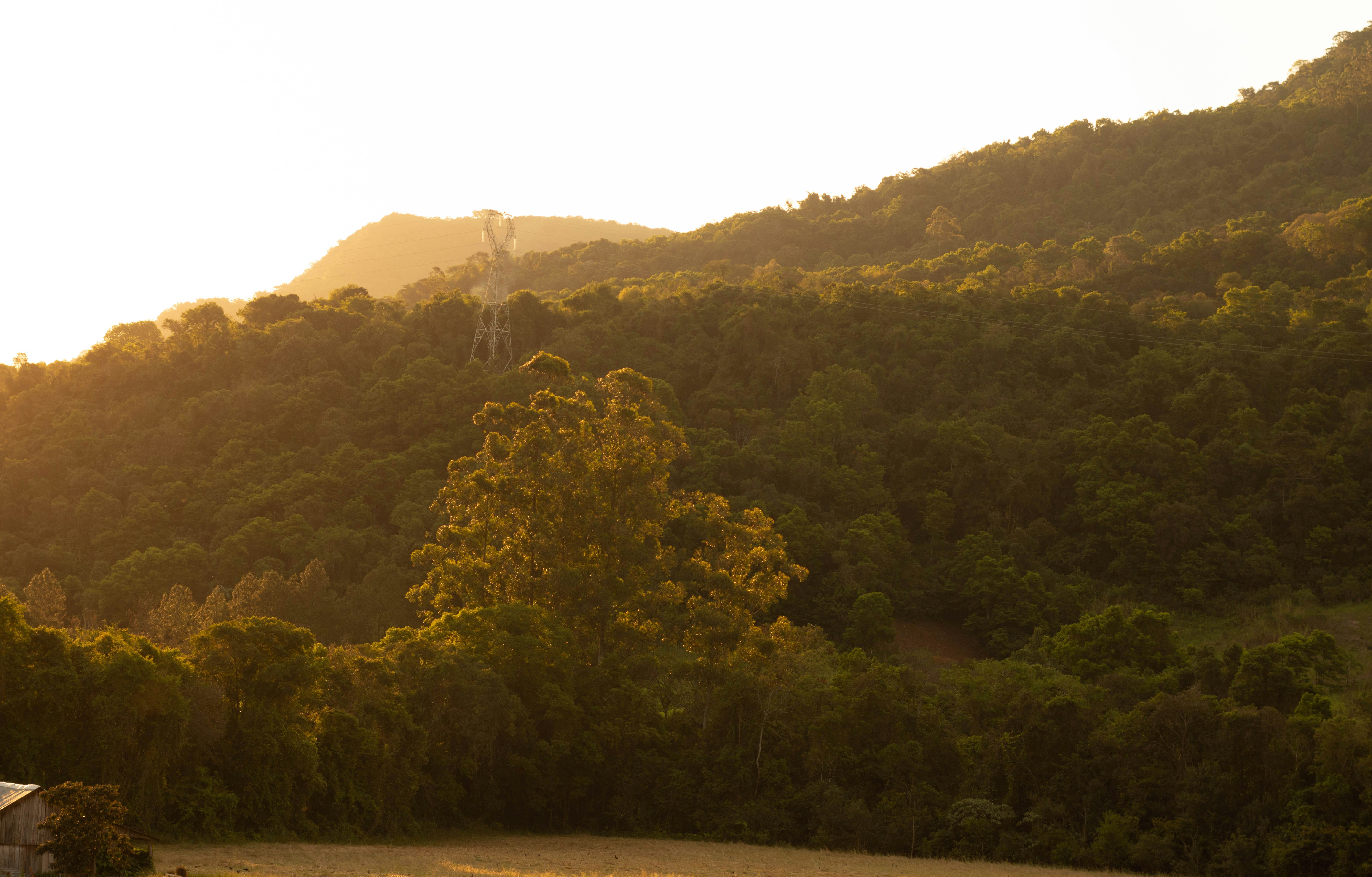 Photo by lucasgwendt